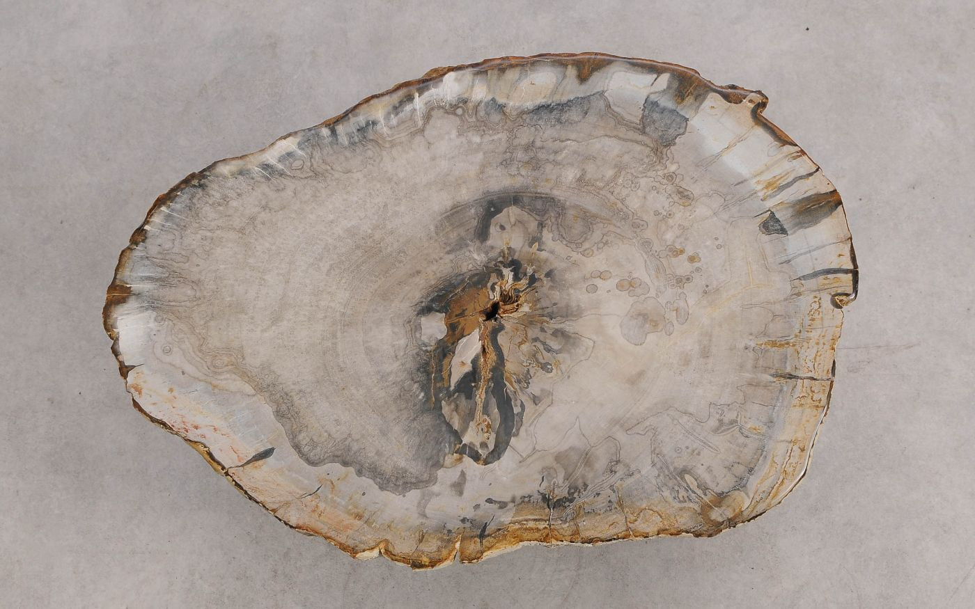 Tavolino in legno pietrificato - 57248