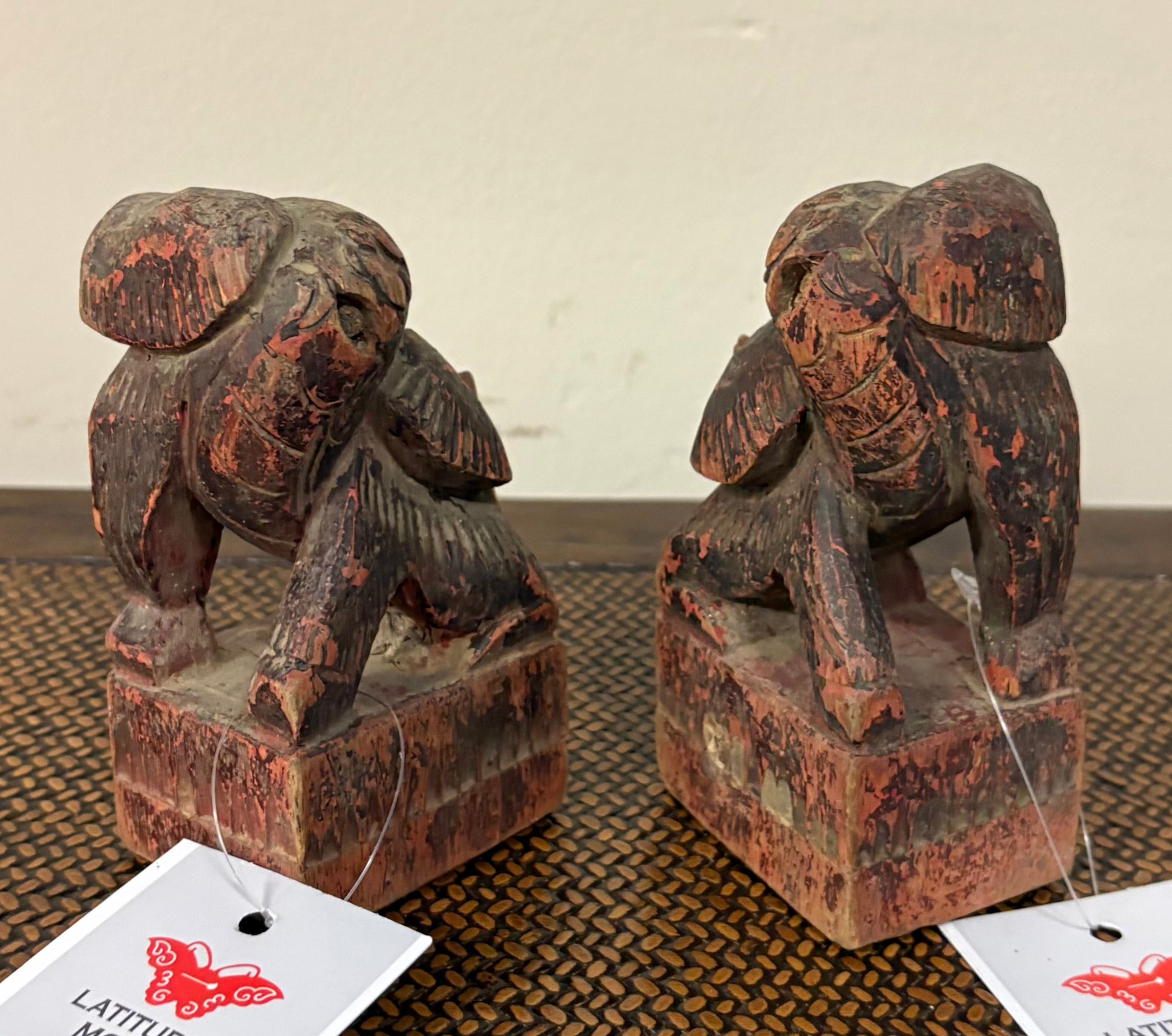 LEONCANI LIGNEI MGNON