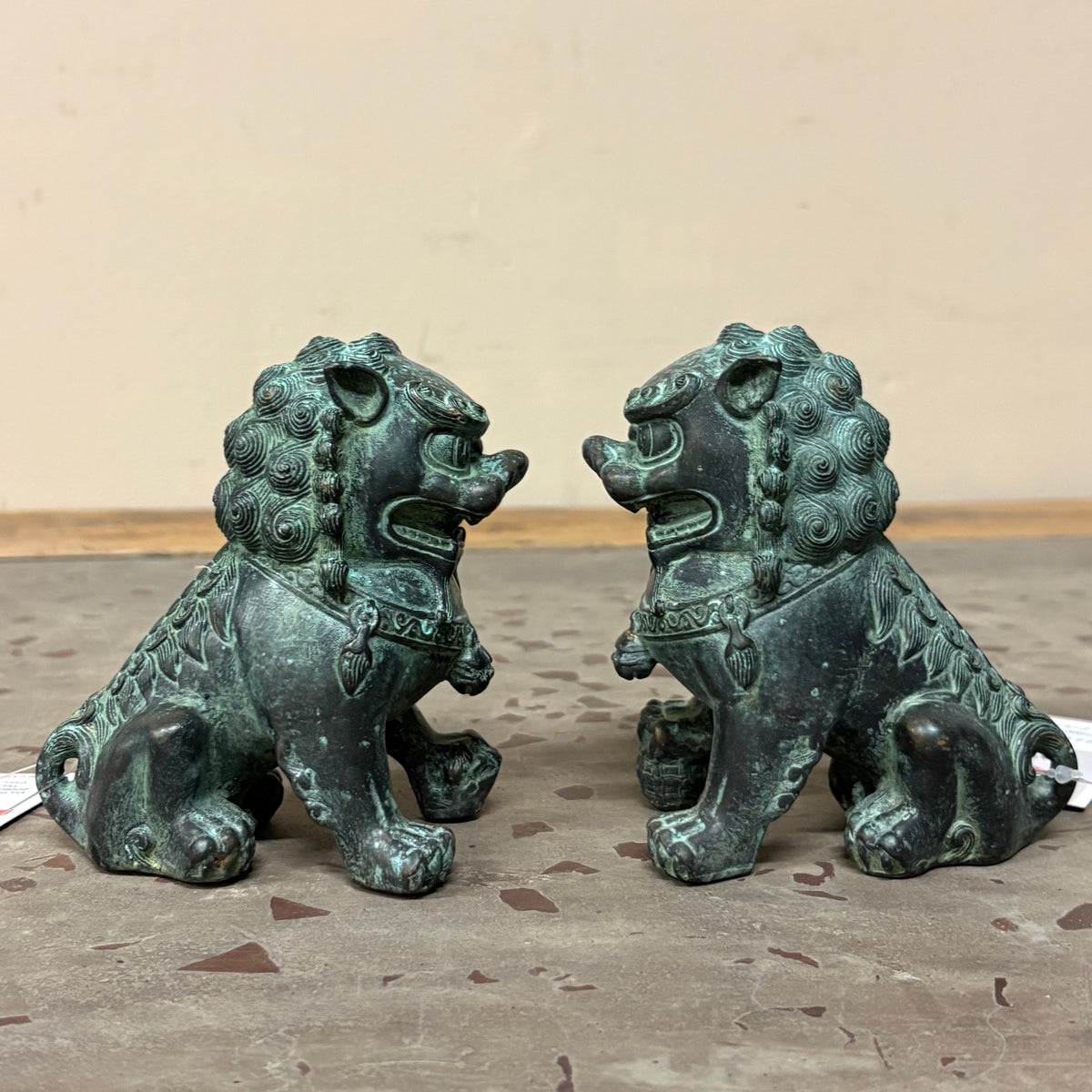 COPPIA LEONCANI IN LEGA