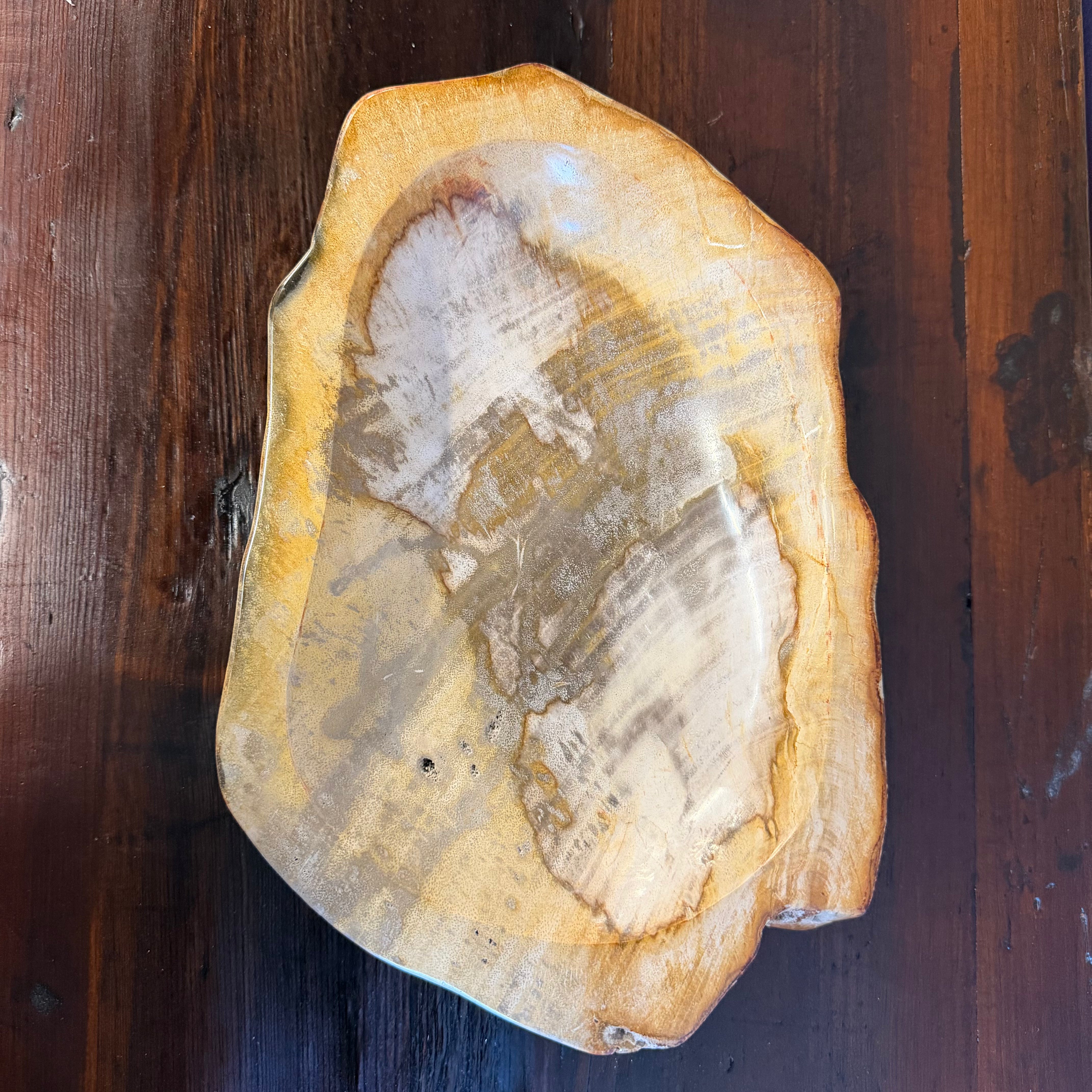 Piatto in legno pietrificato - 60374 M