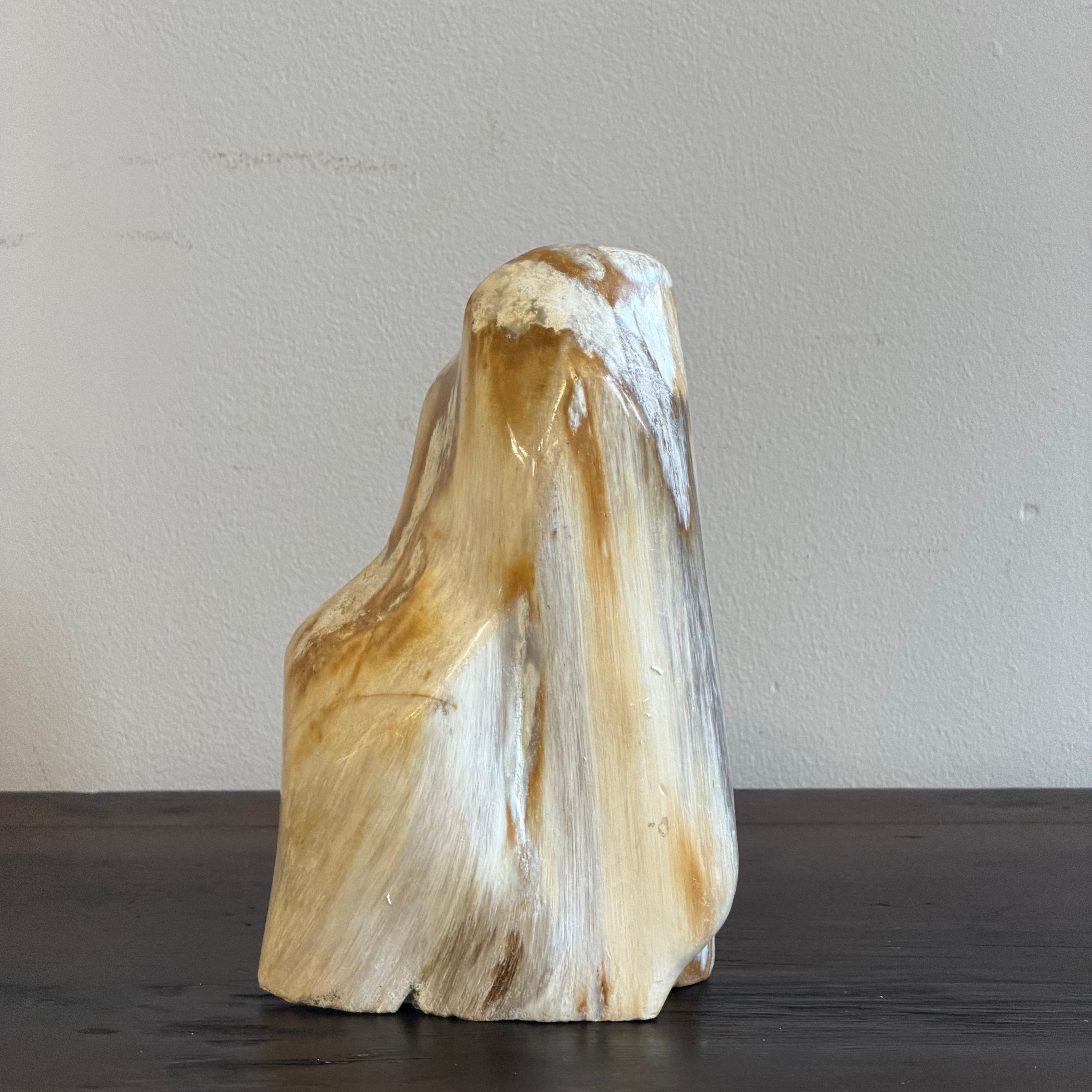 Scultura soprammobile in legno pietrificato - 50007 A