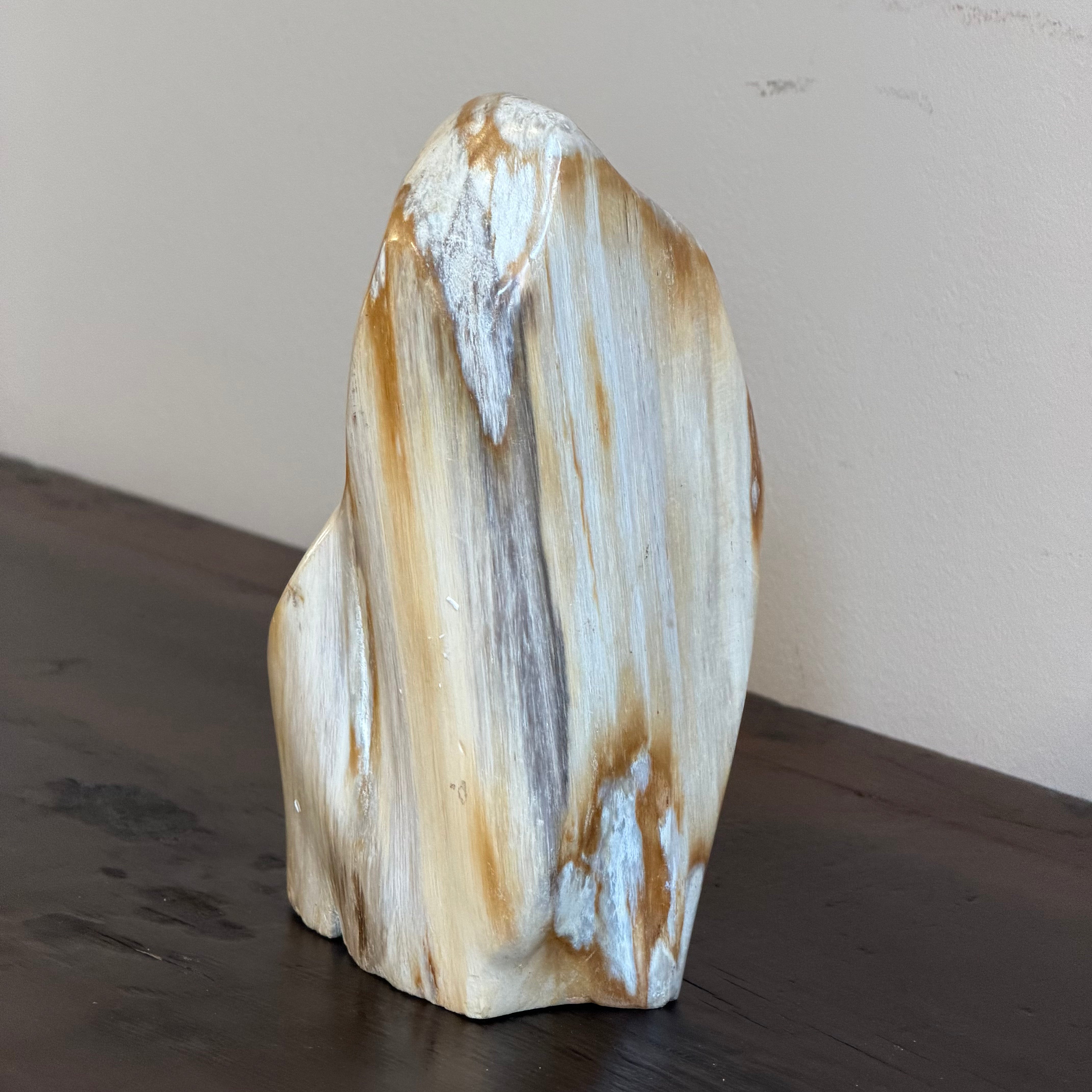 Scultura soprammobile in legno pietrificato - 50007 A