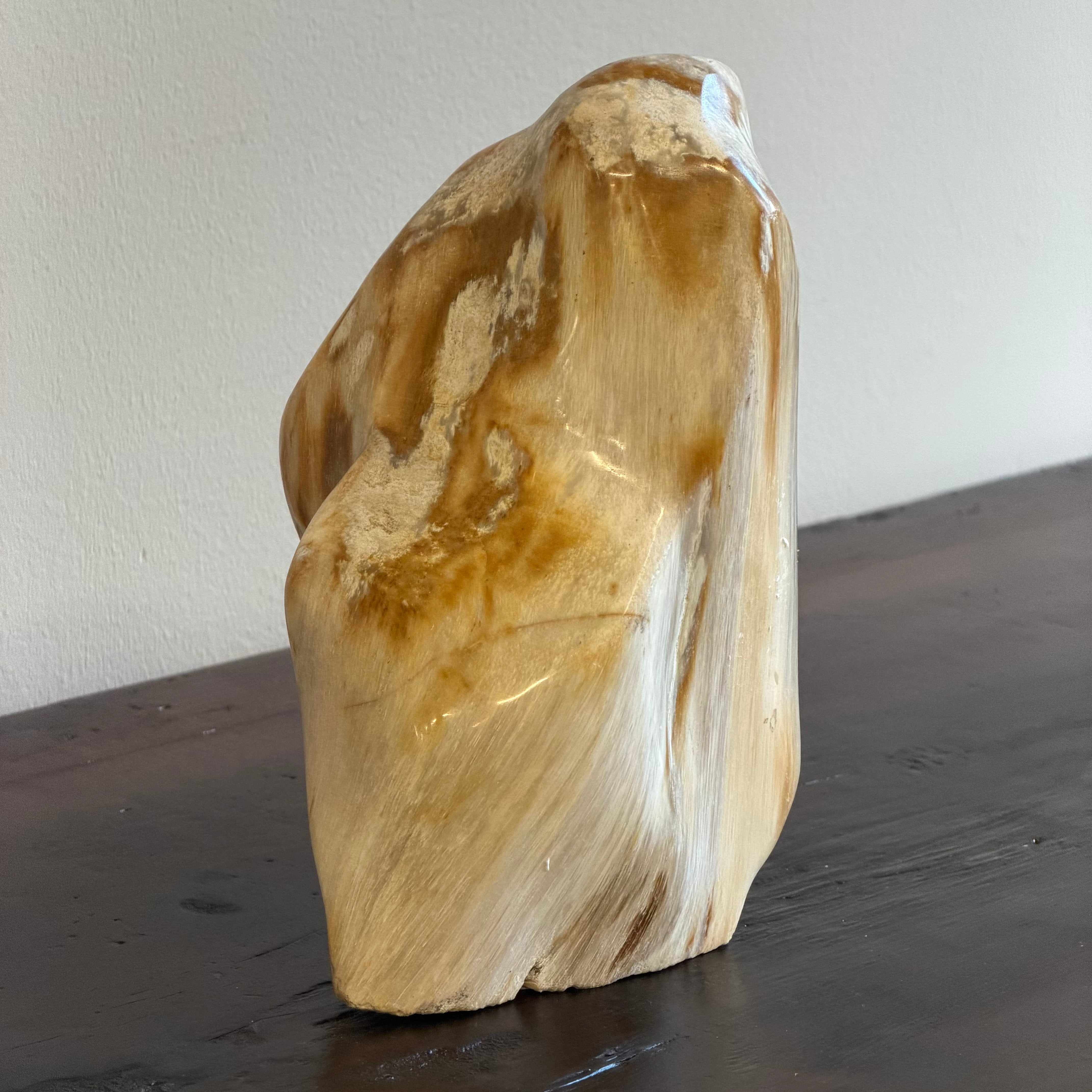 Scultura soprammobile in legno pietrificato - 50007 A