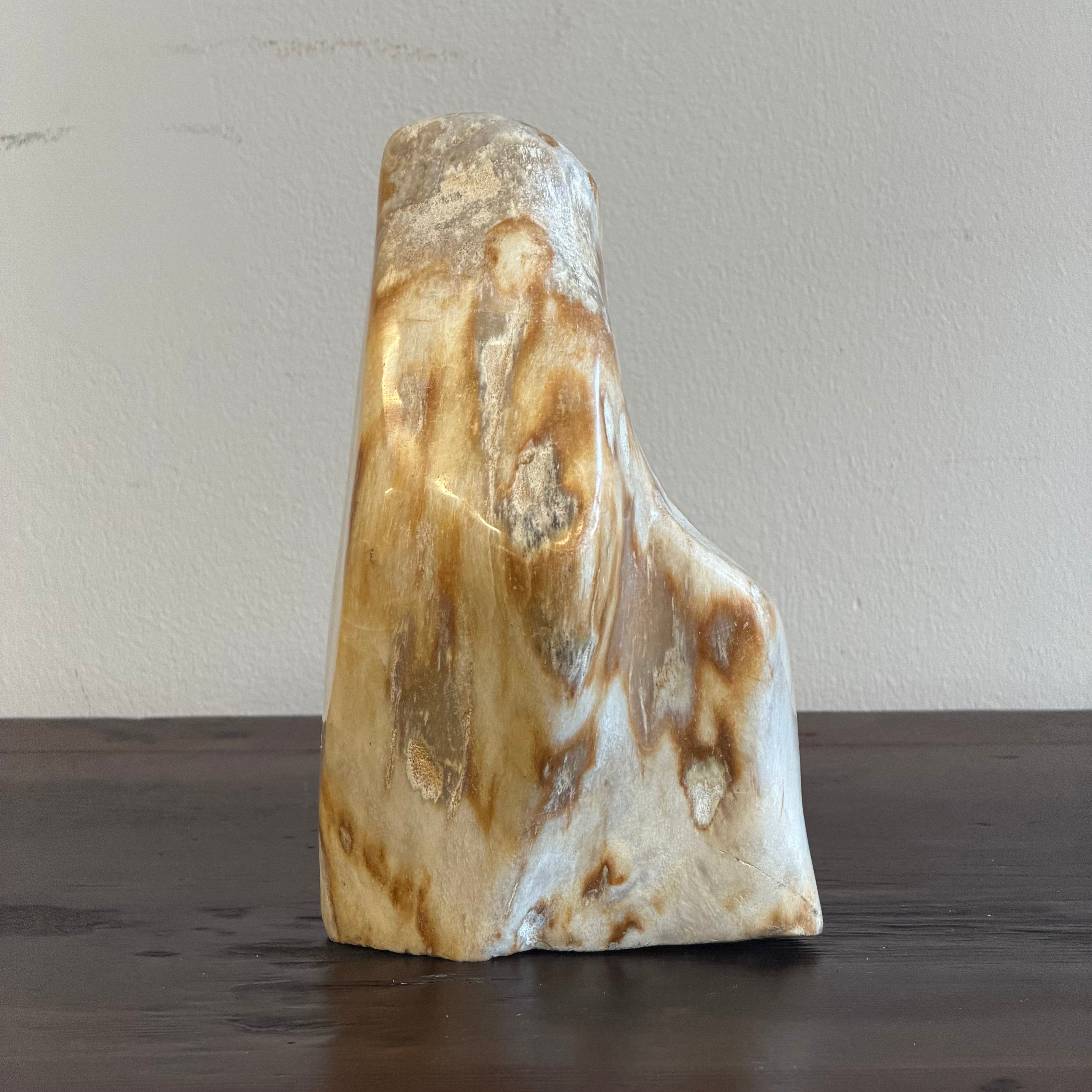 Scultura soprammobile in legno pietrificato - 50007 A