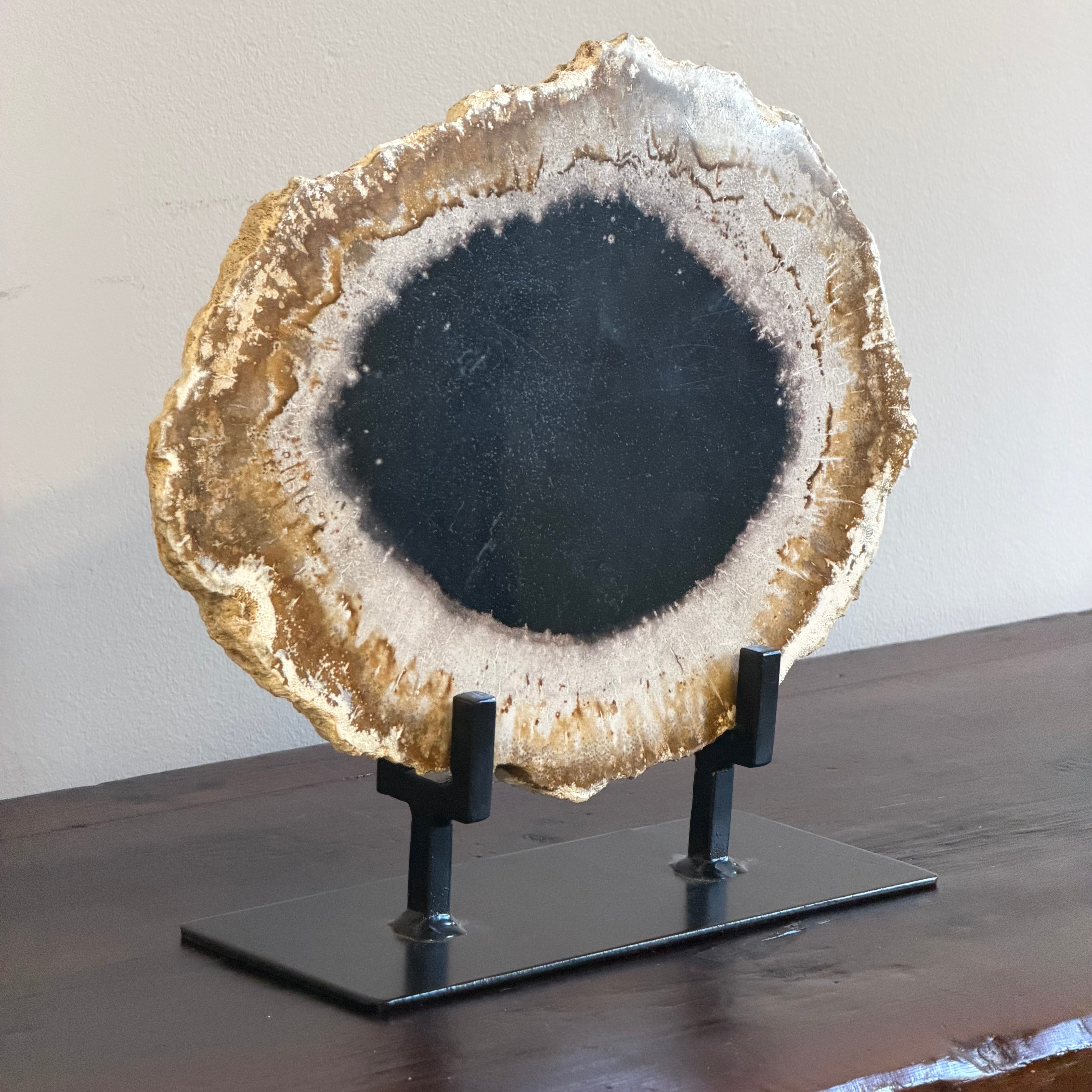 Lastra per tavolino o oggetto decorativo in legno pietrificato - 42300 C