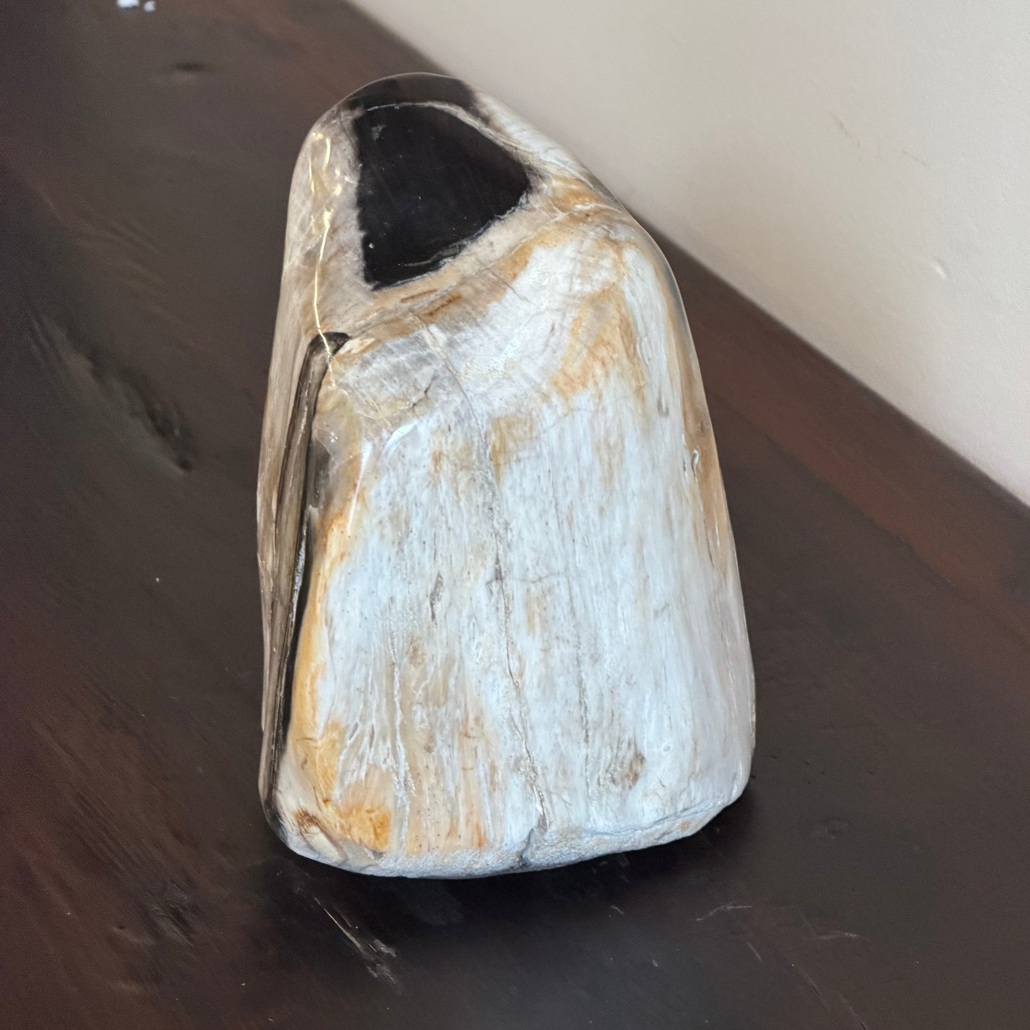 Scultura soprammobile in legno pietrificato - 50007 B