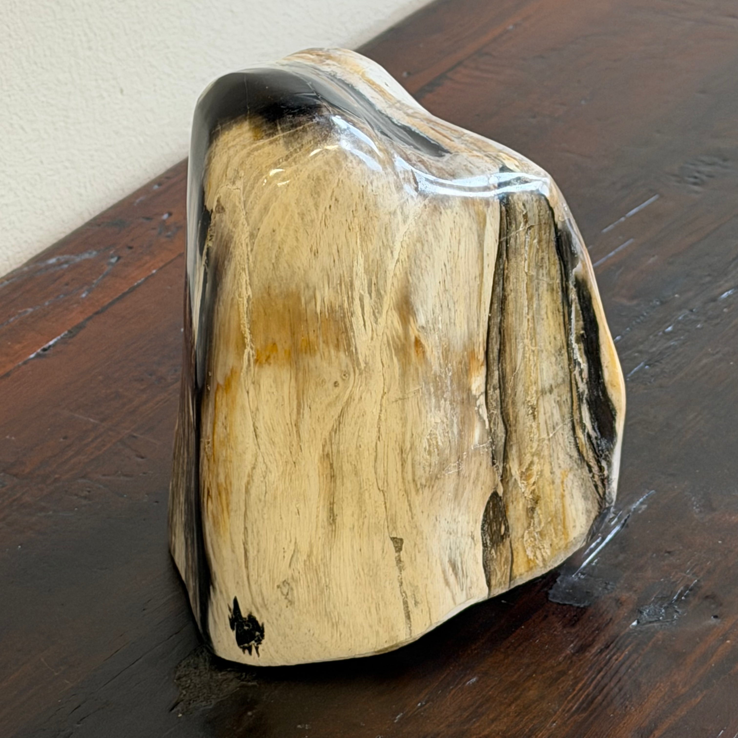 Scultura soprammobile in legno pietrificato - 50007 B