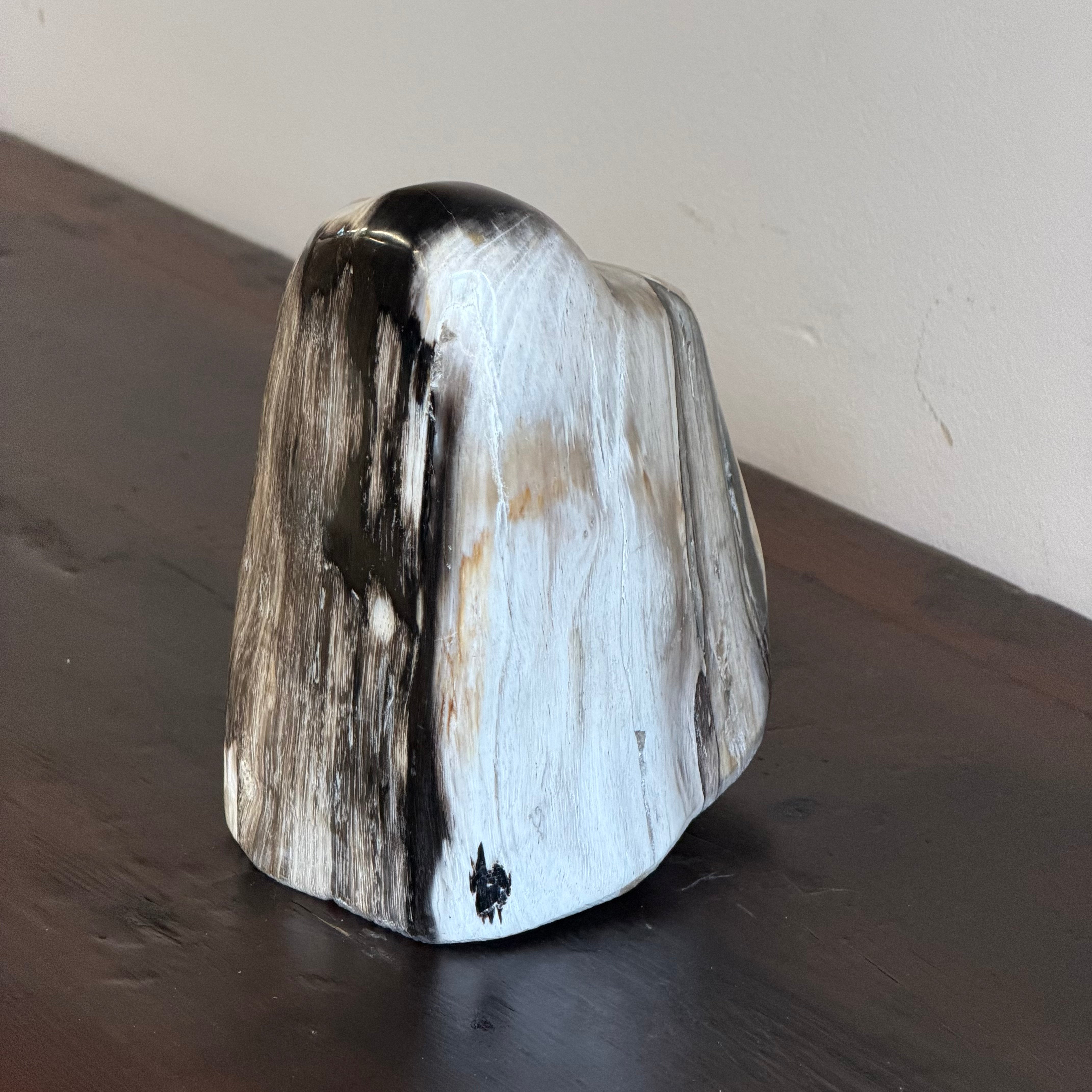 Scultura soprammobile in legno pietrificato - 50007 B