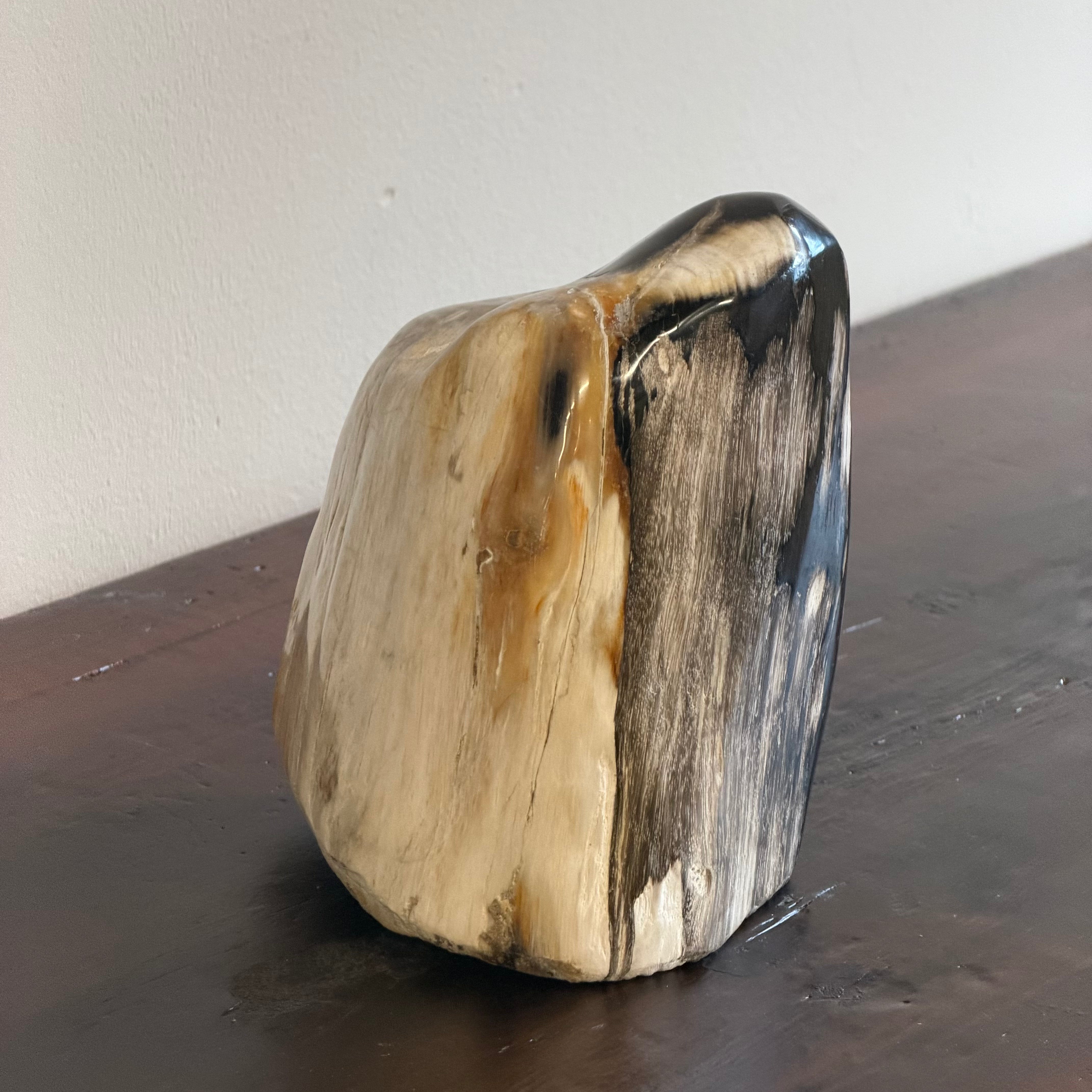 Scultura soprammobile in legno pietrificato - 50007 B