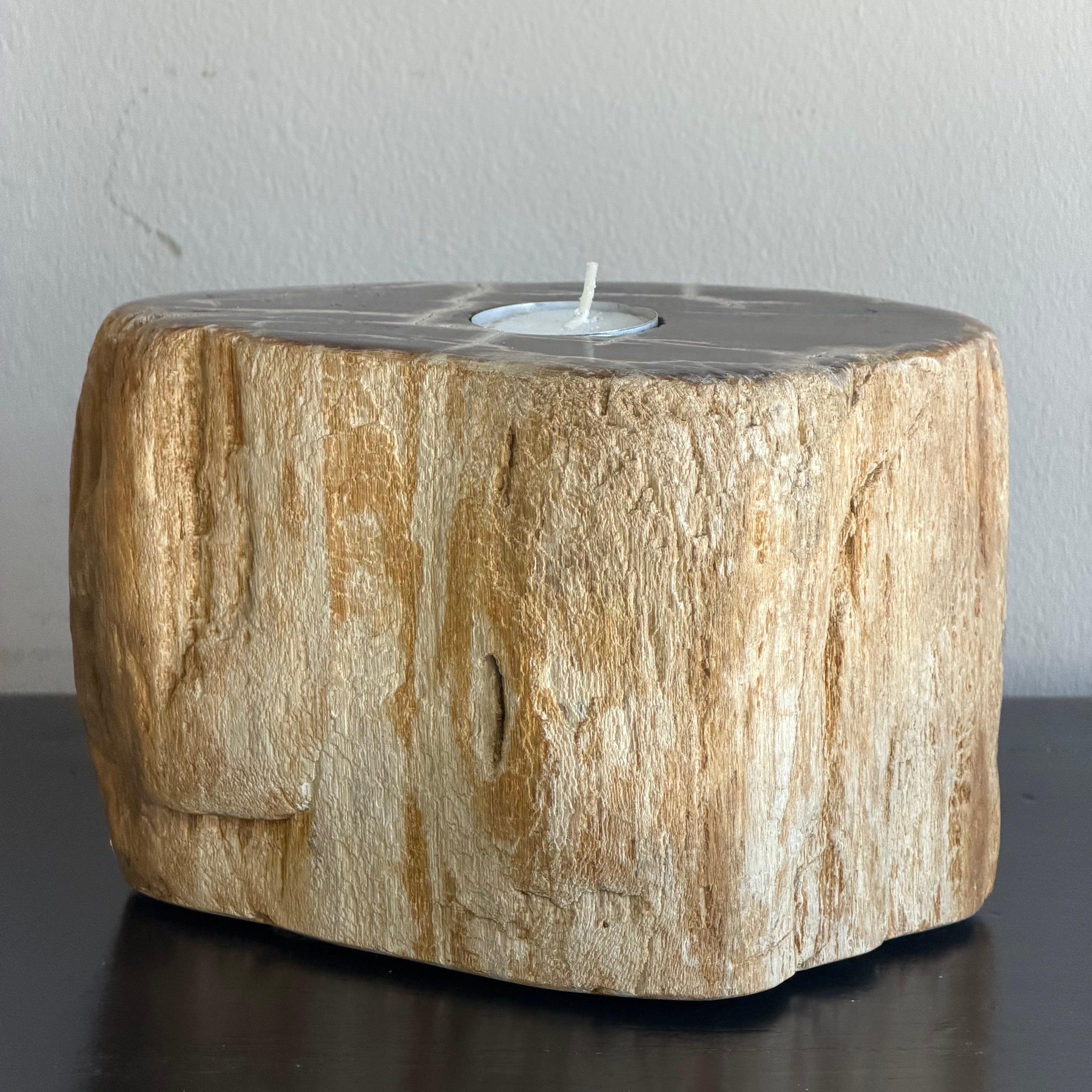 Portacandele in legno pietrificato - 50001