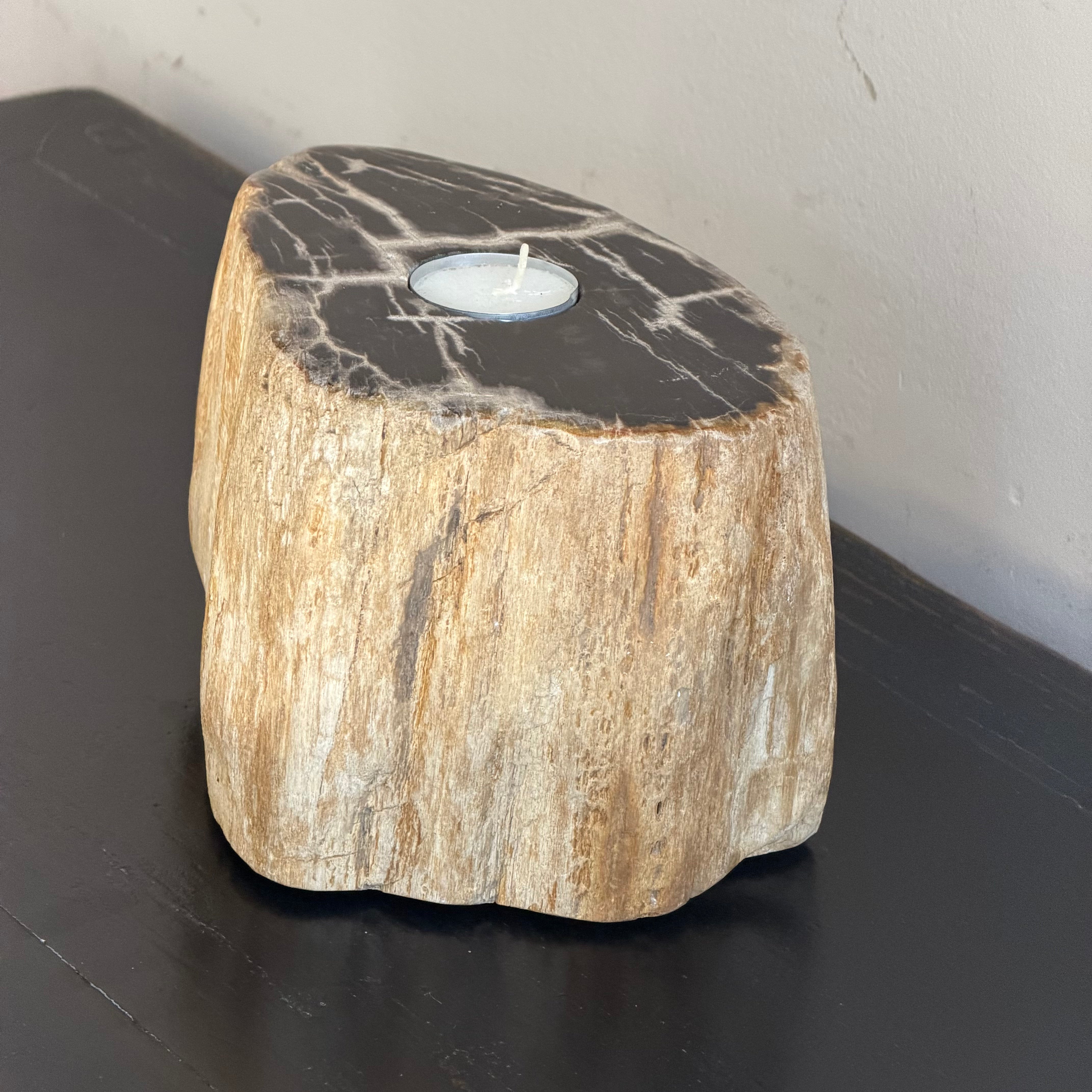 Portacandele in legno pietrificato - 50001