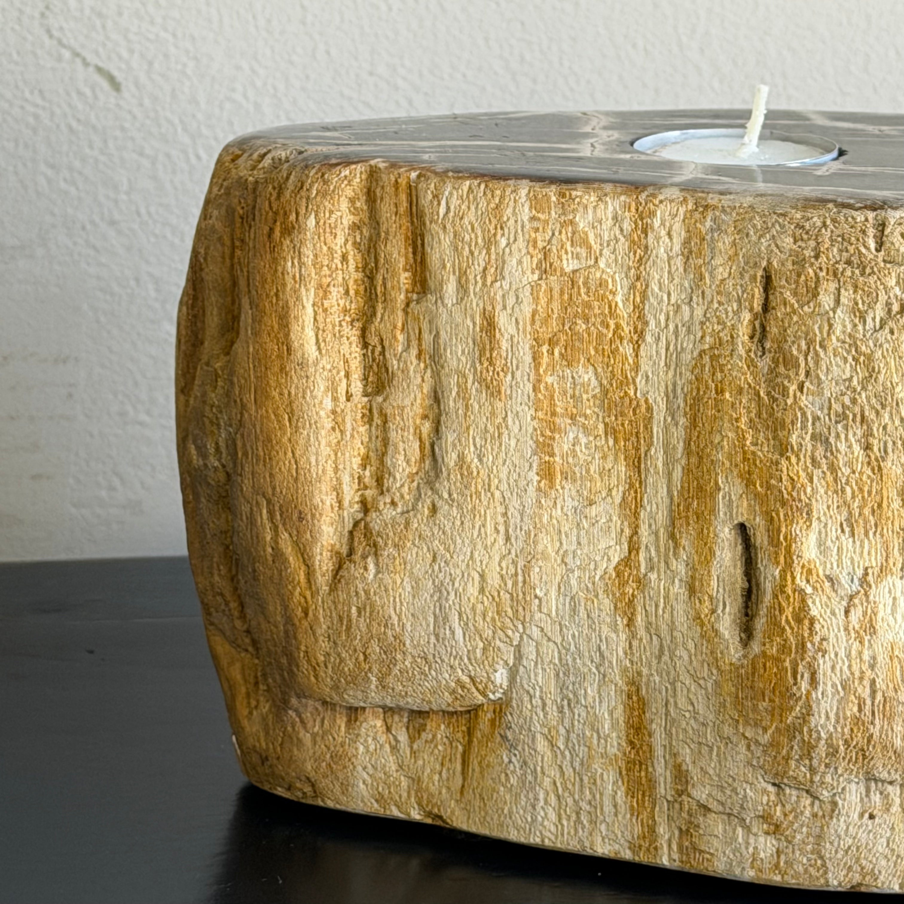 Portacandele in legno pietrificato - 50001