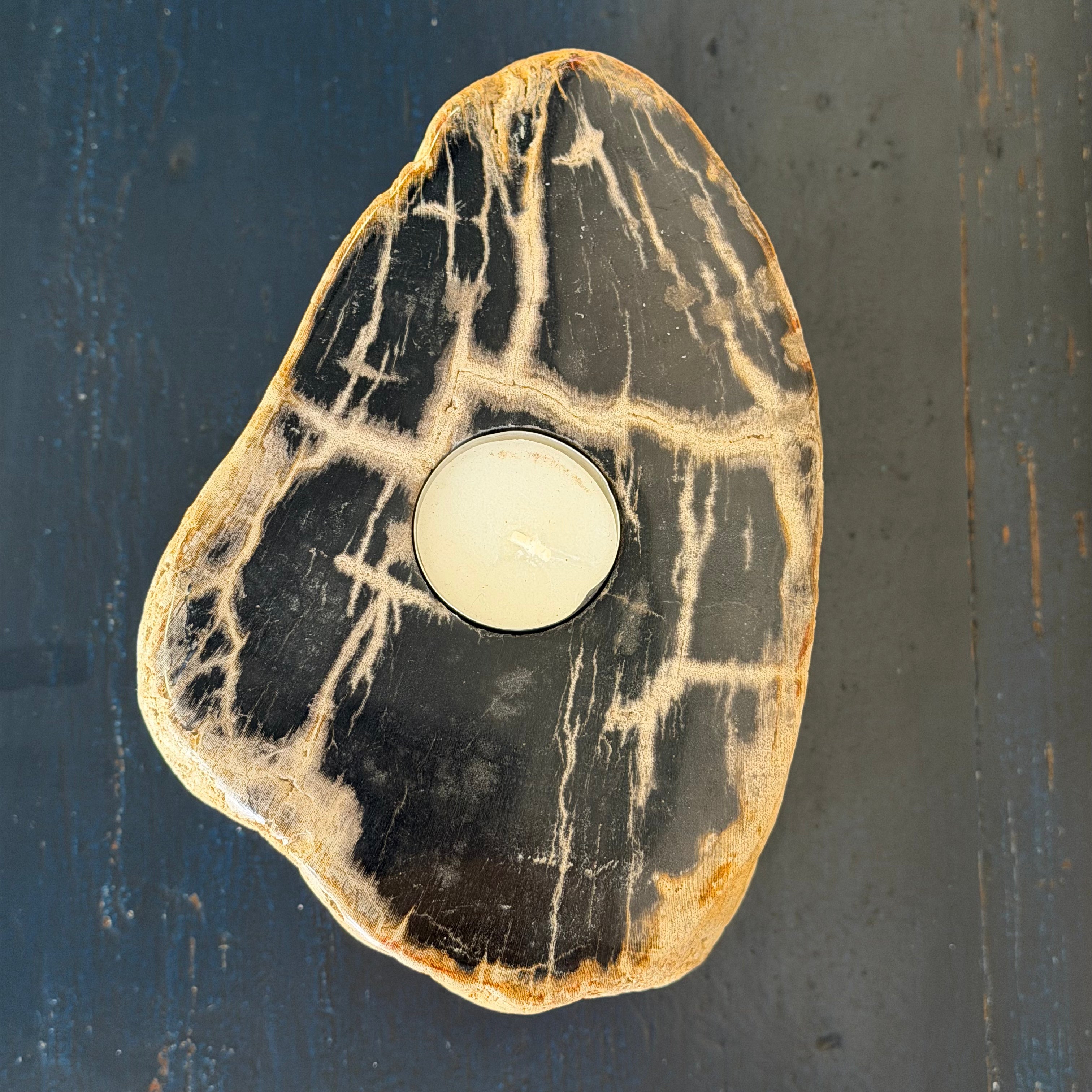 Portacandele in legno pietrificato - 50001