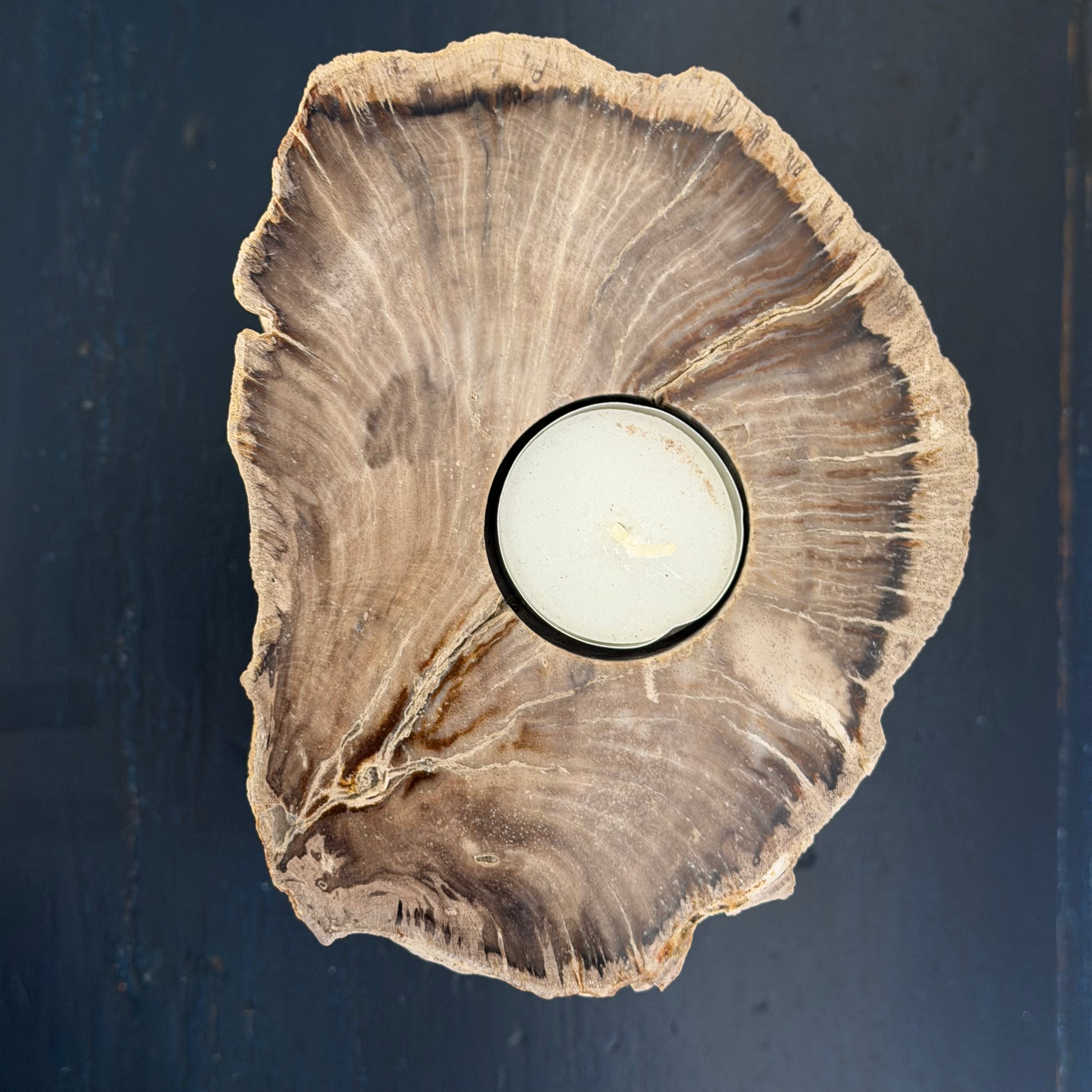 Portacandele in legno pietrificato - 61312 C