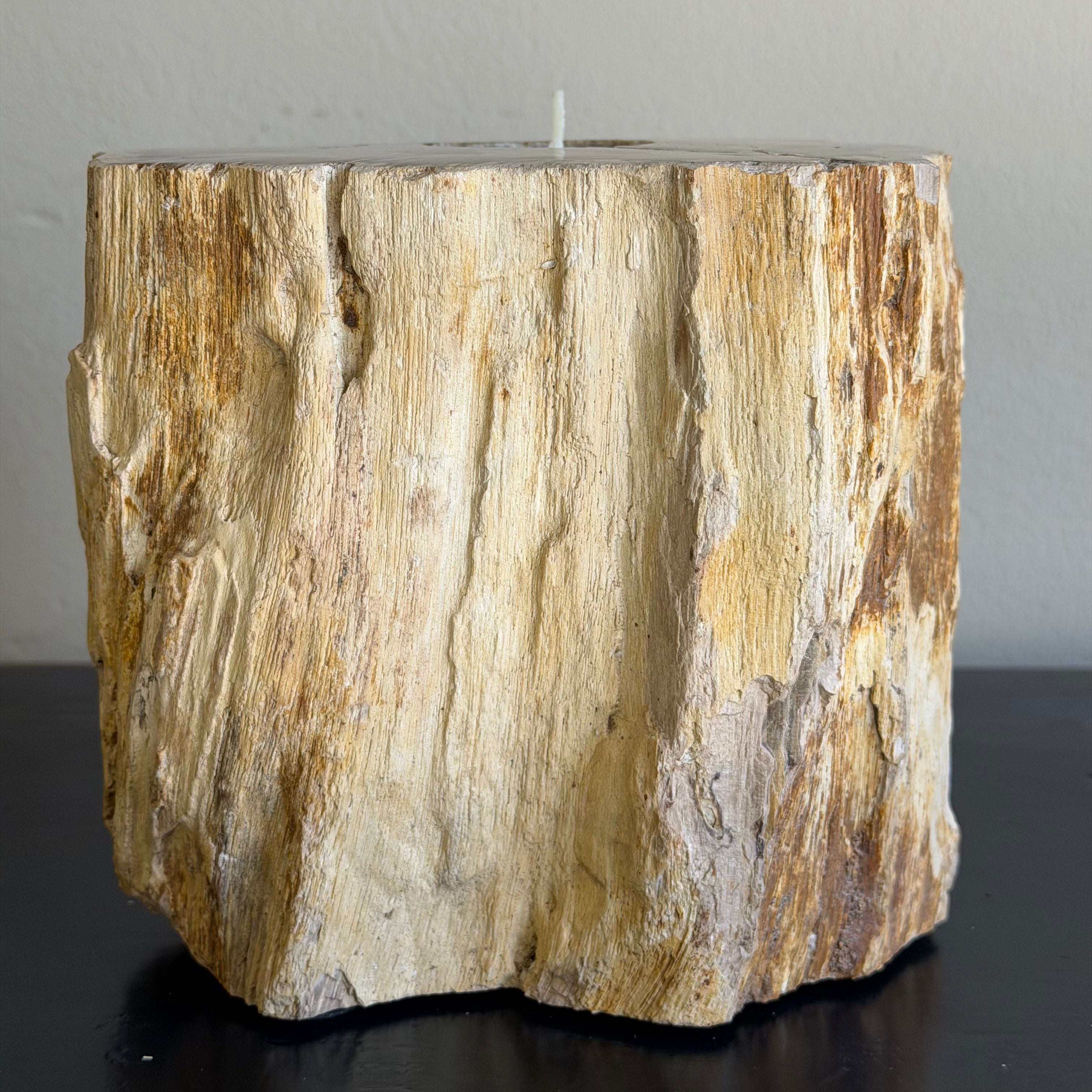 Portacandele in legno pietrificato - 61312 C