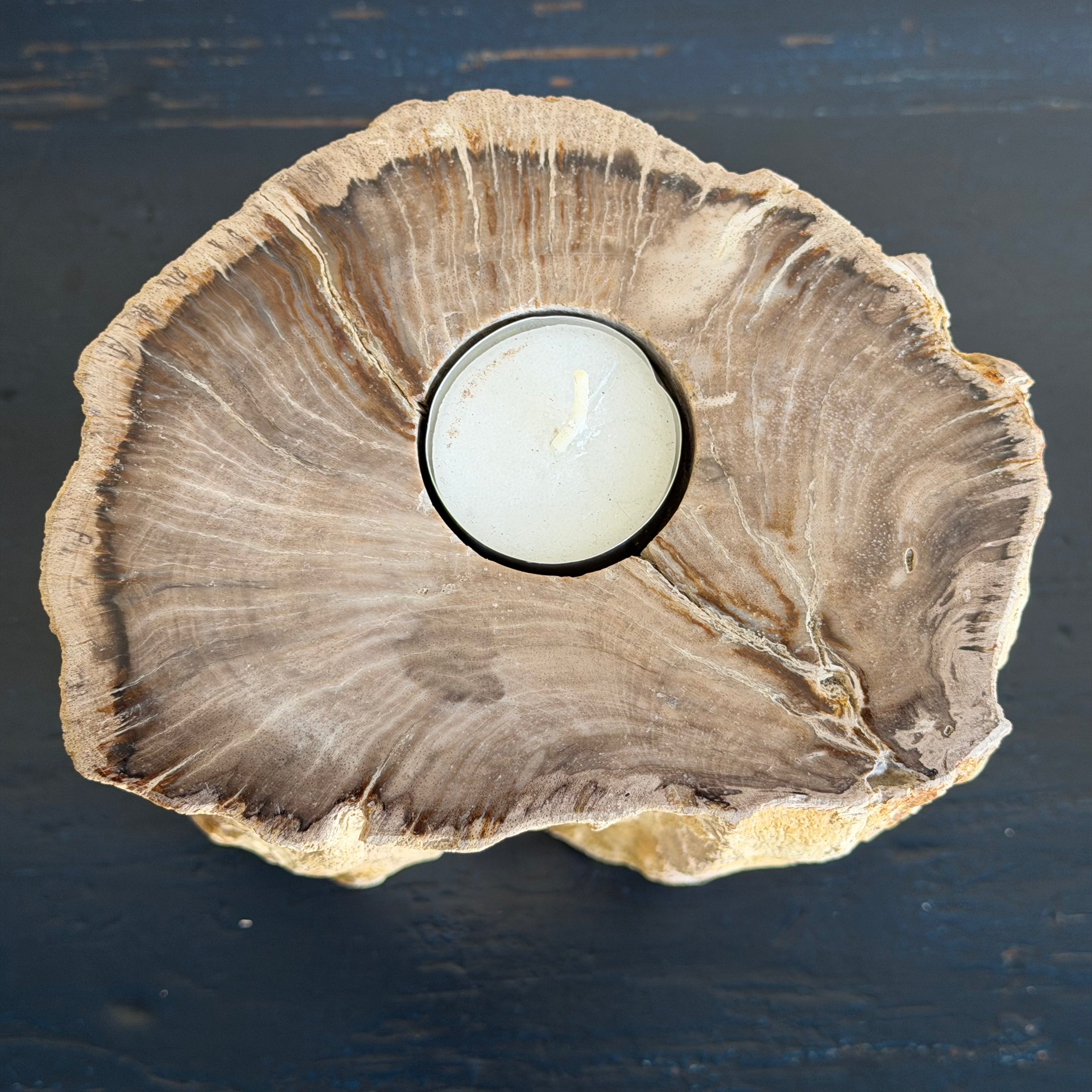 Portacandele in legno pietrificato - 61312 C