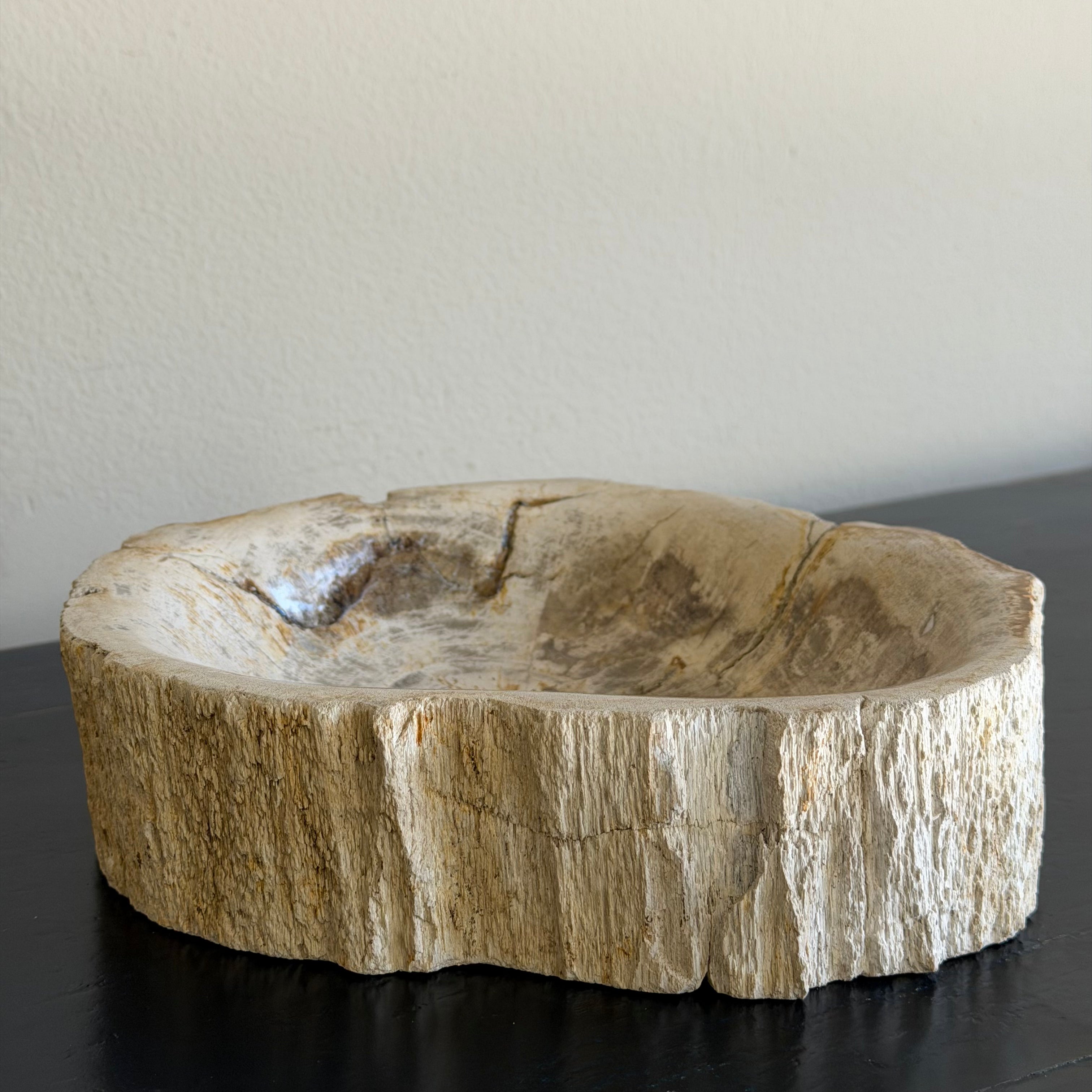 Piatto in legno pietrificato - 50004 B