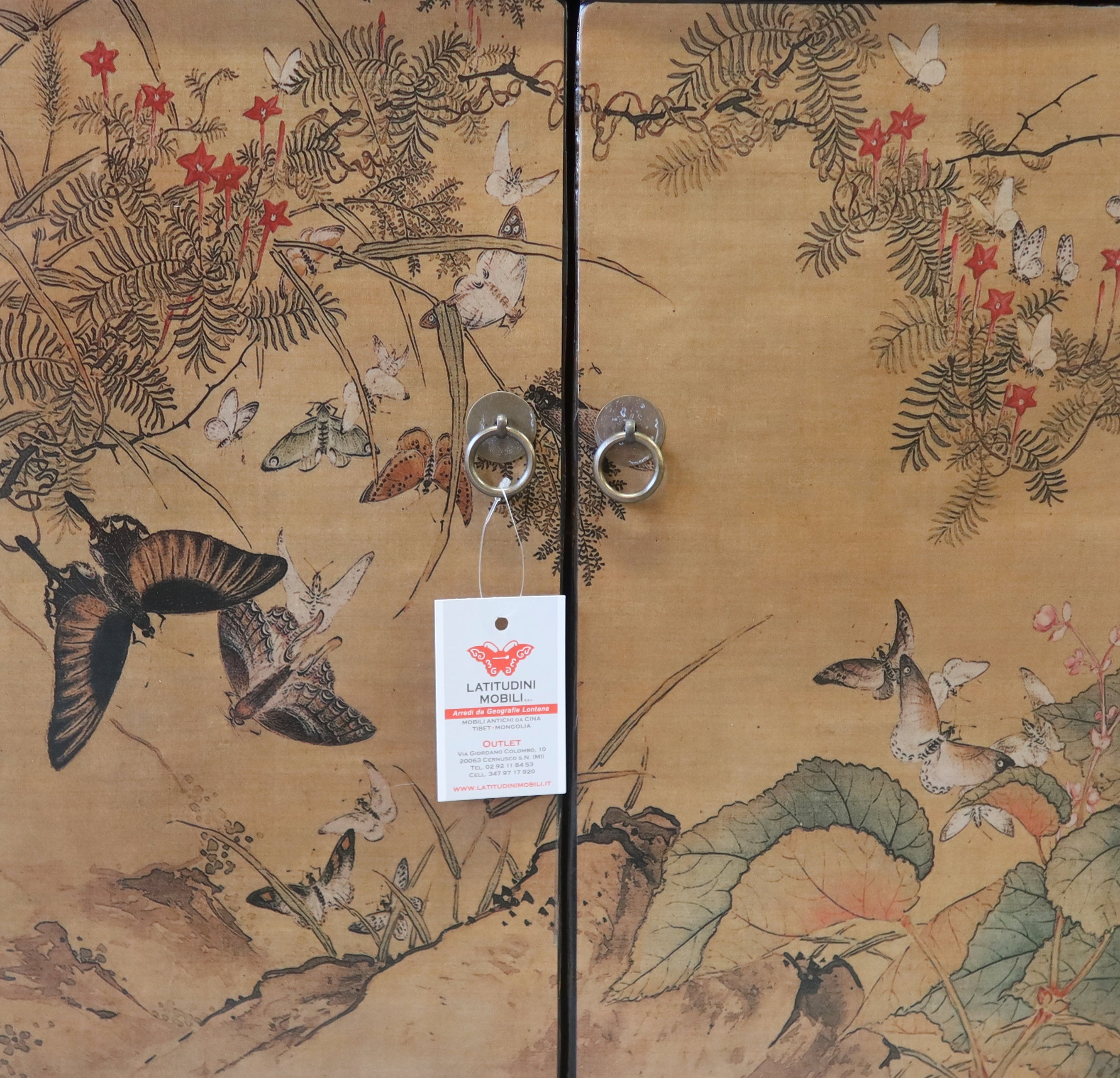 MADIA MONGOLIA DECORATA