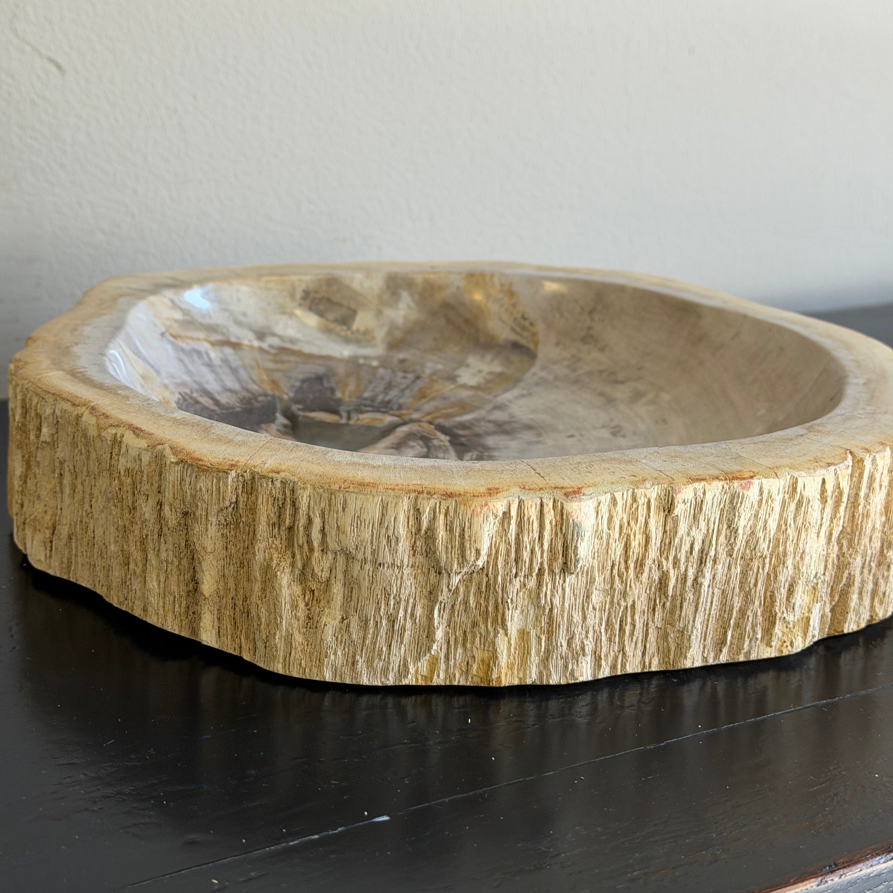 Piatto in legno pietrificato - 50004 A