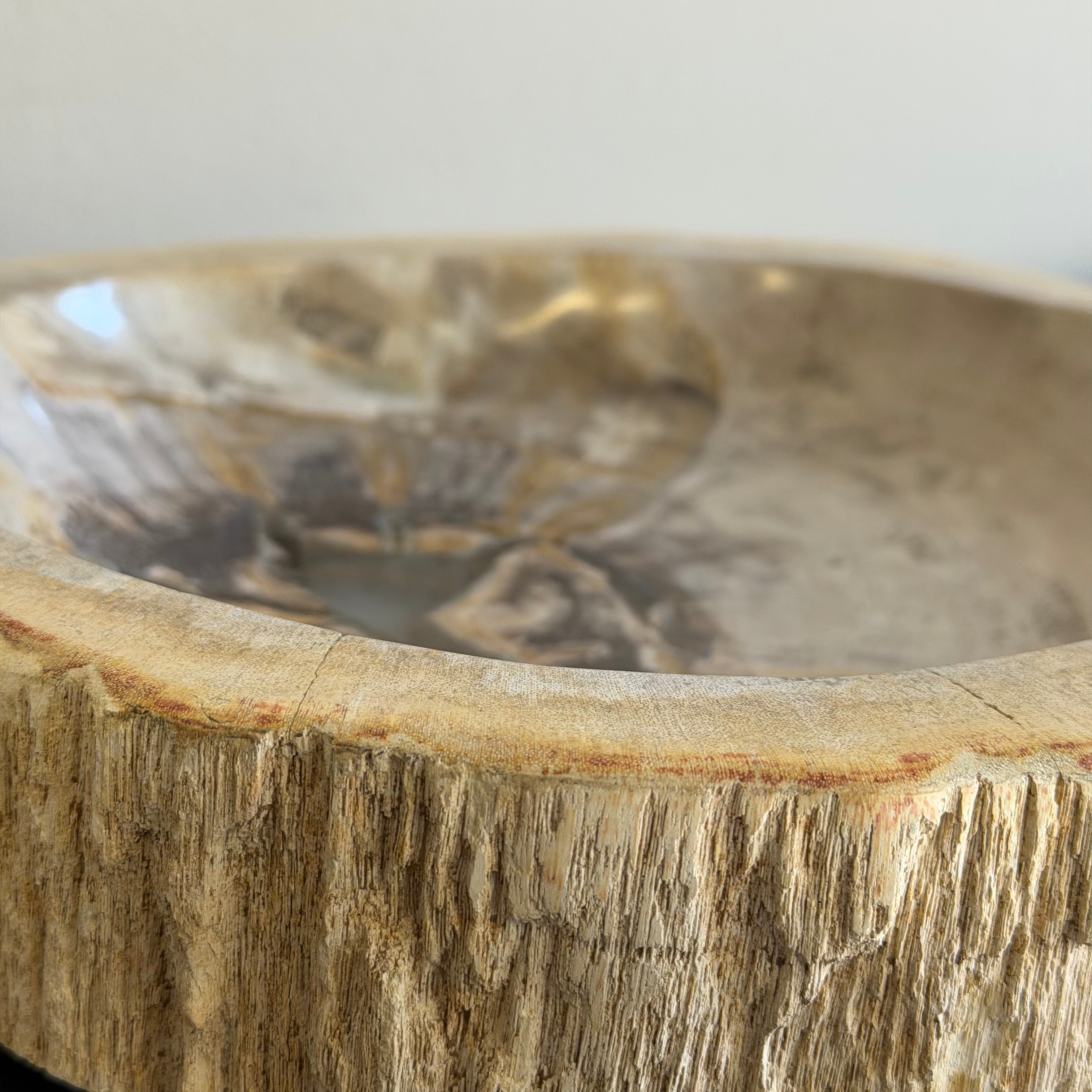 Piatto in legno pietrificato - 50004 A