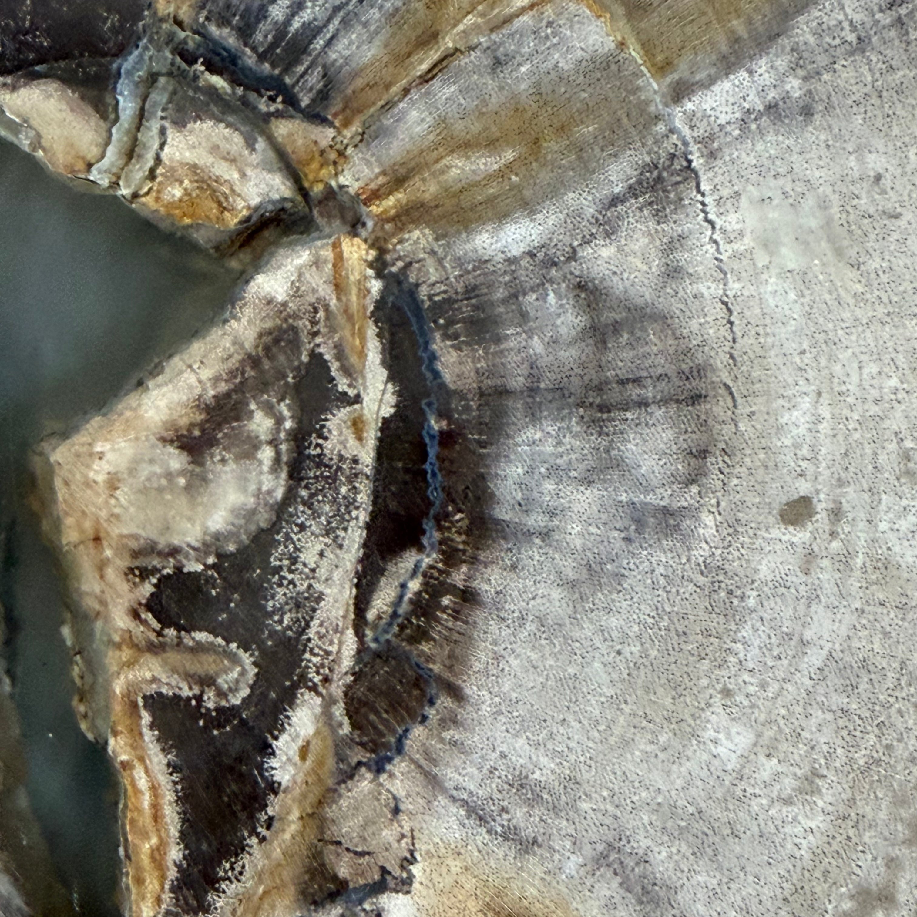 Piatto in legno pietrificato - 50004 A