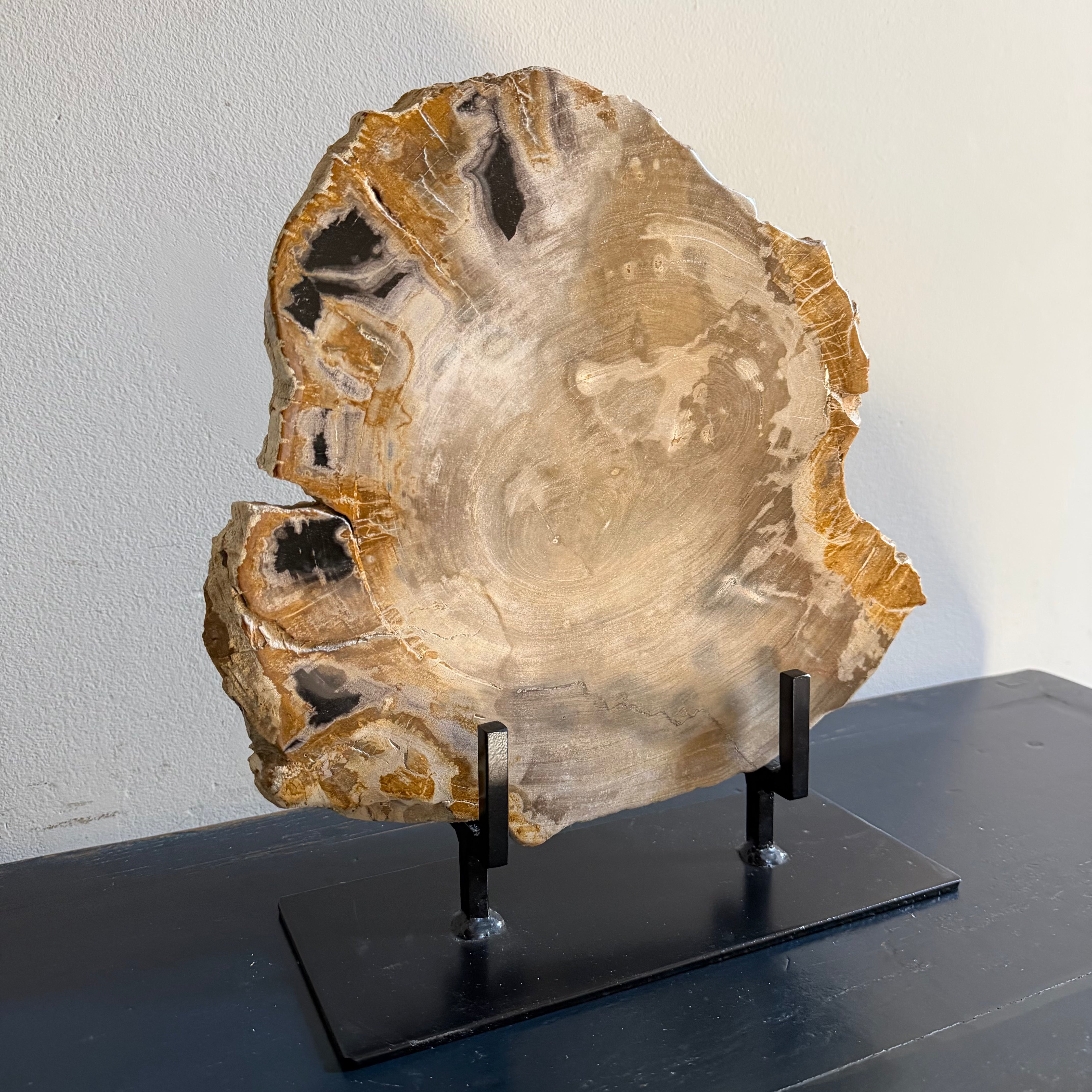 Lastra per tavolino o oggetto decorativo in legno pietrificato - 50003 F