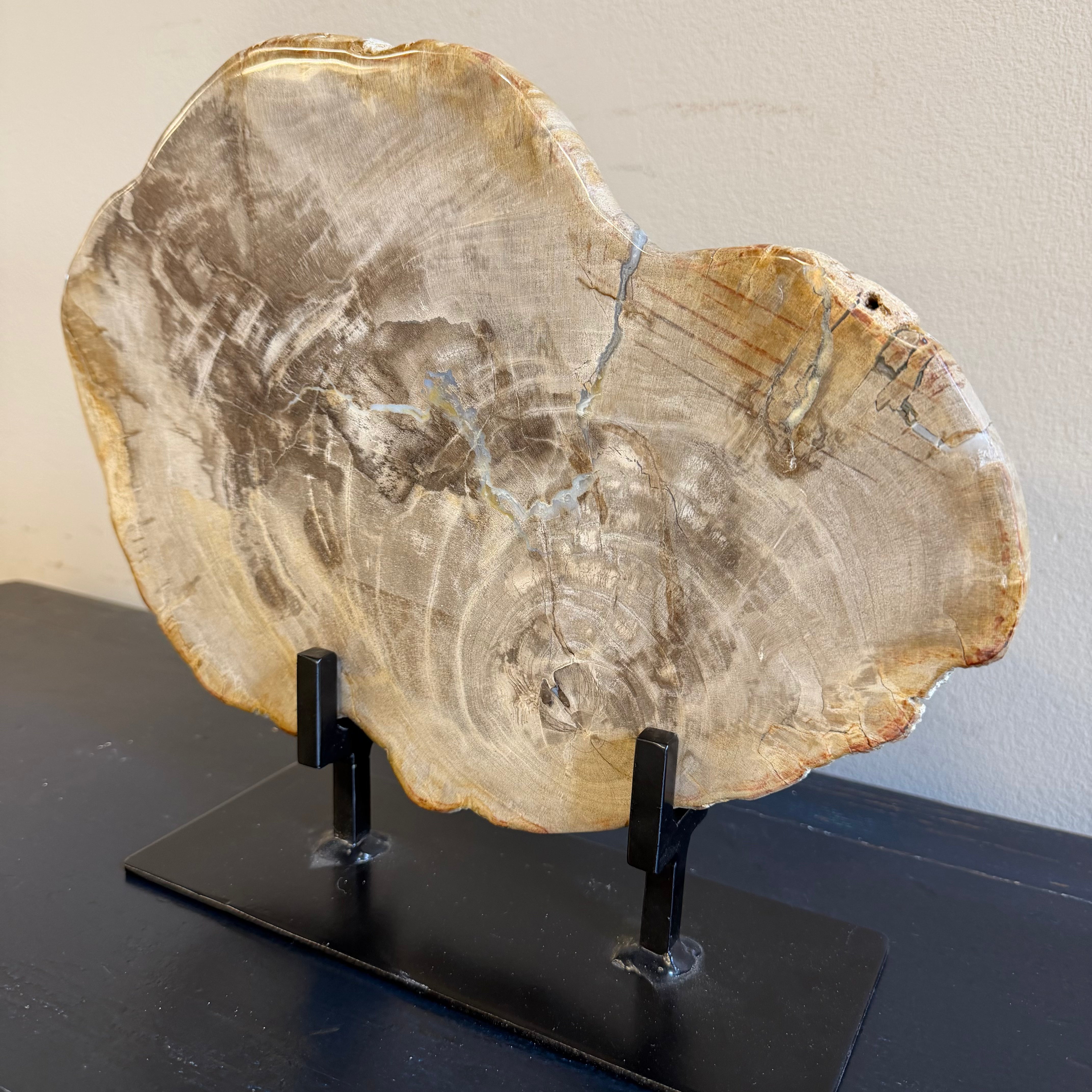 Lastra per tavolino o oggetto decorativo in legno pietrificato - 50003 C