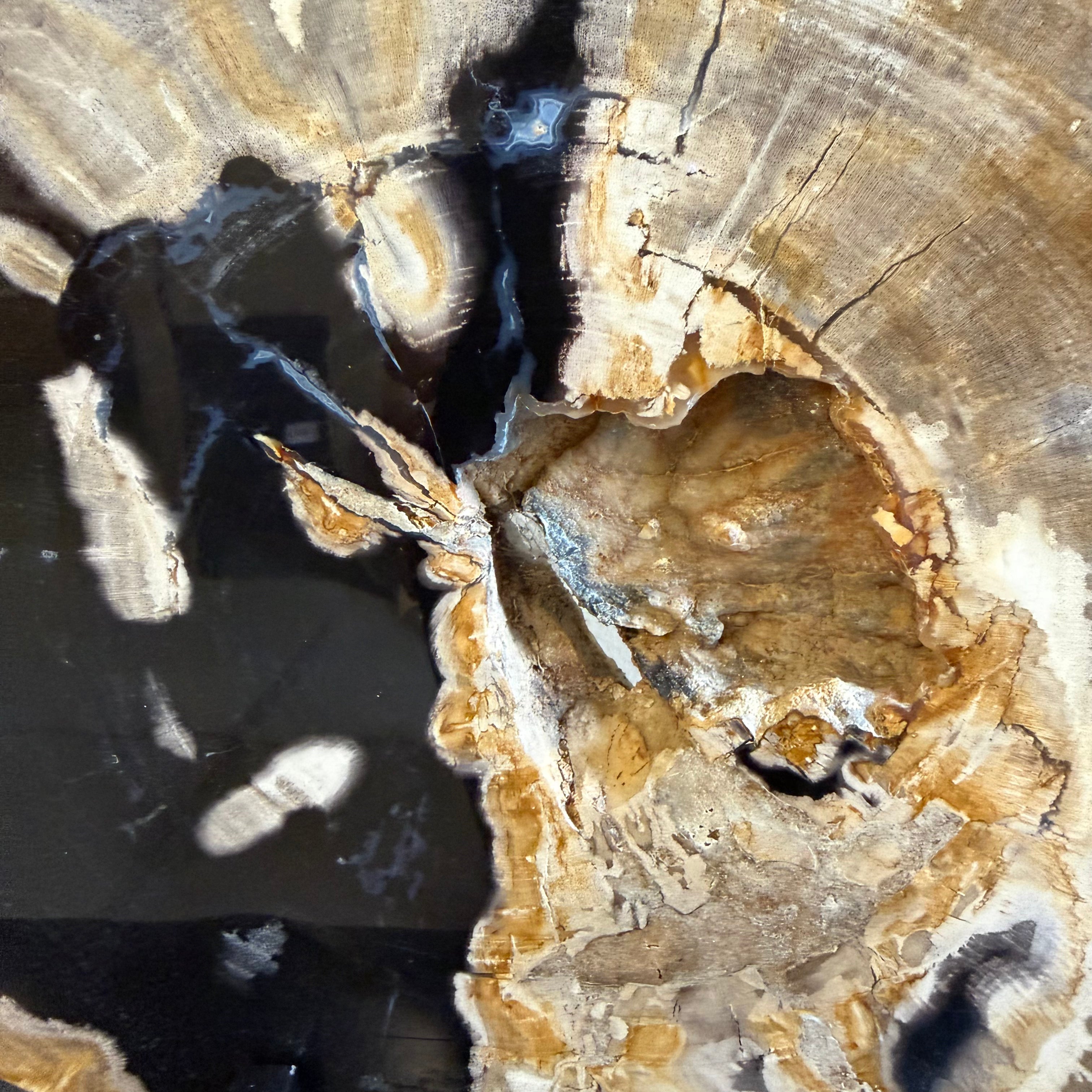 Lastra per tavolino o oggetto decorativo in legno pietrificato - 59361