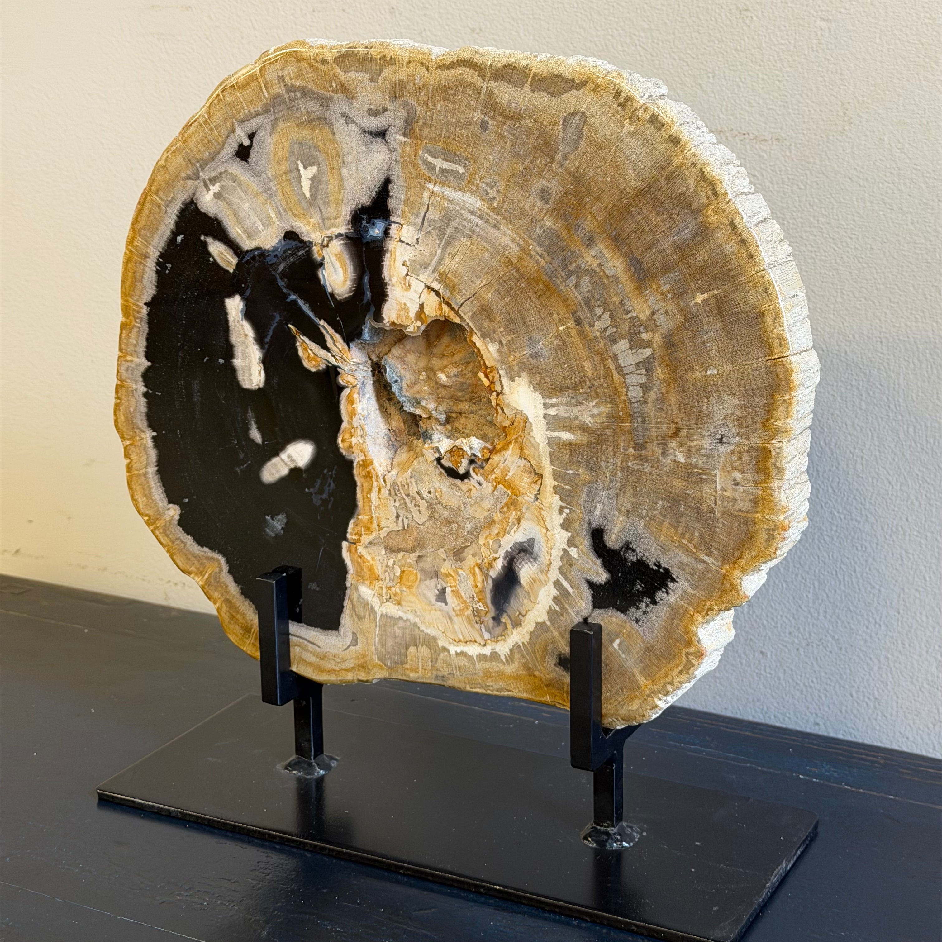 Lastra per tavolino o oggetto decorativo in legno pietrificato - 59361