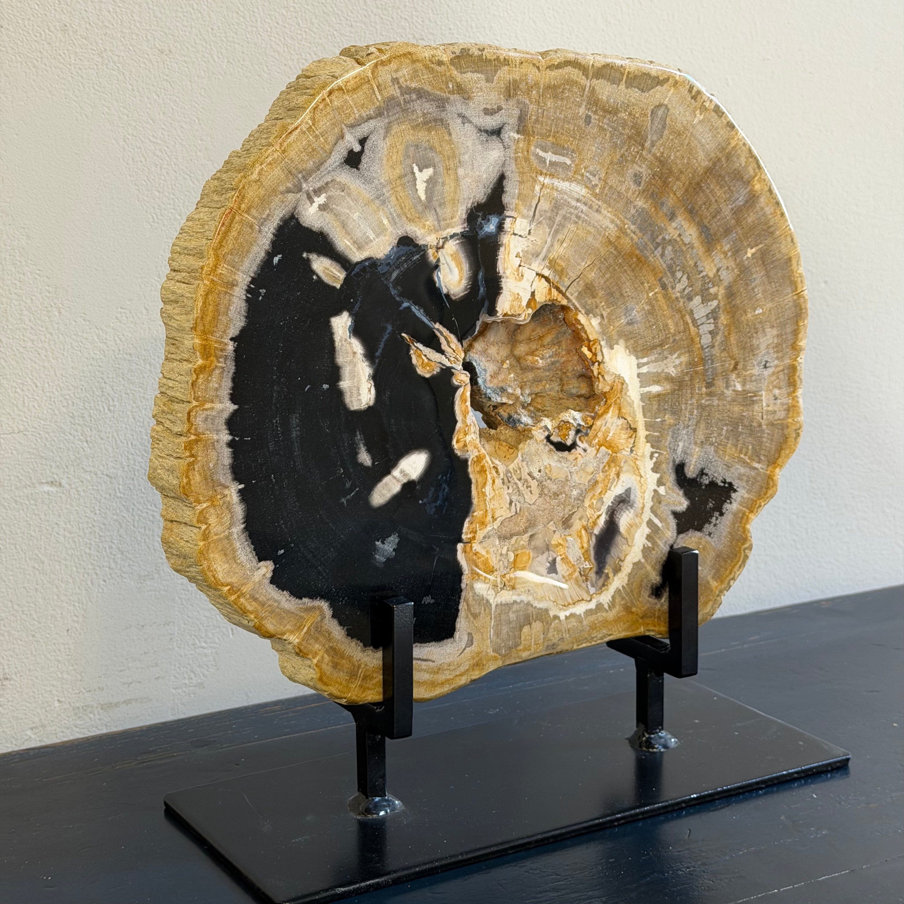 Lastra per tavolino o oggetto decorativo in legno pietrificato - 59361