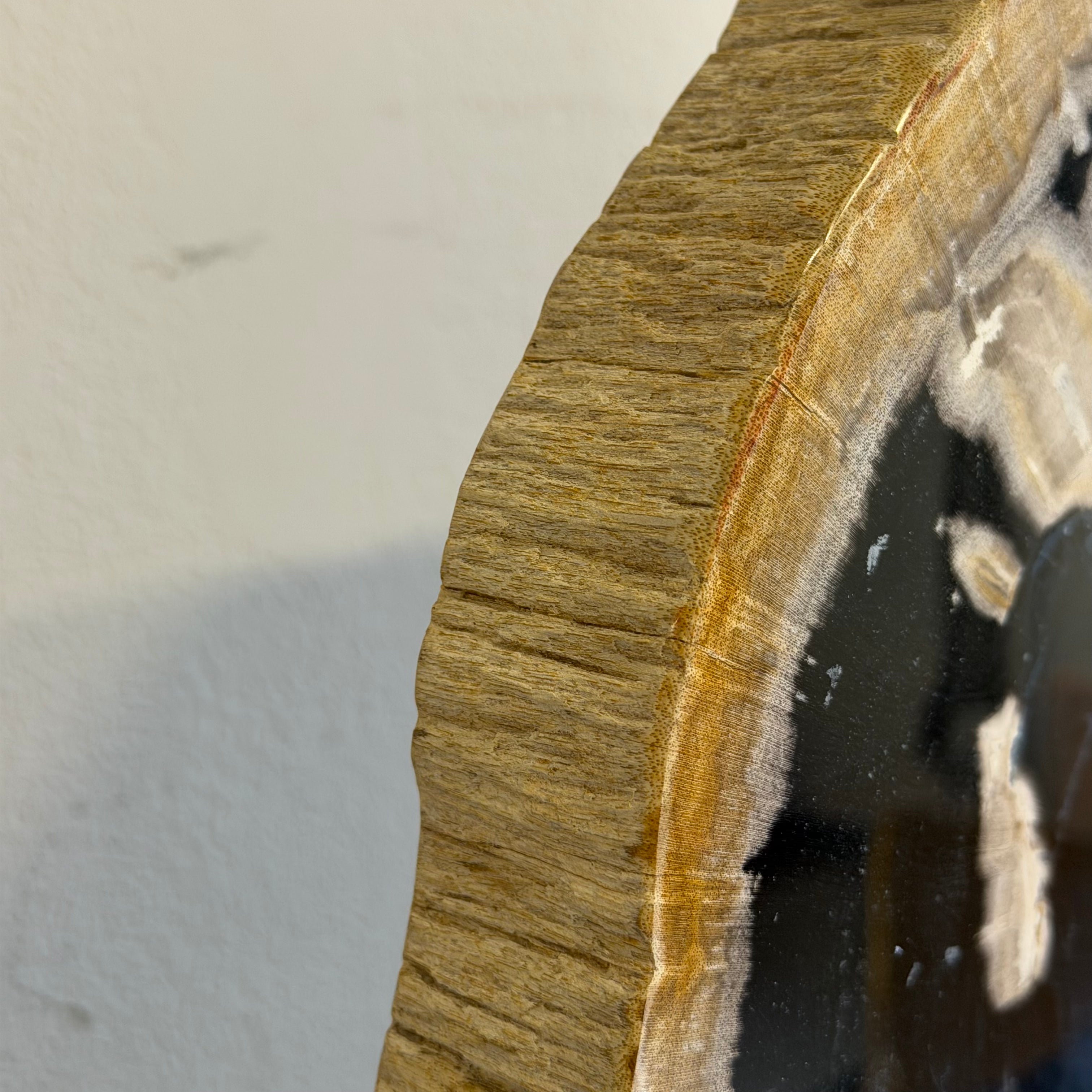 Lastra per tavolino o oggetto decorativo in legno pietrificato - 59361