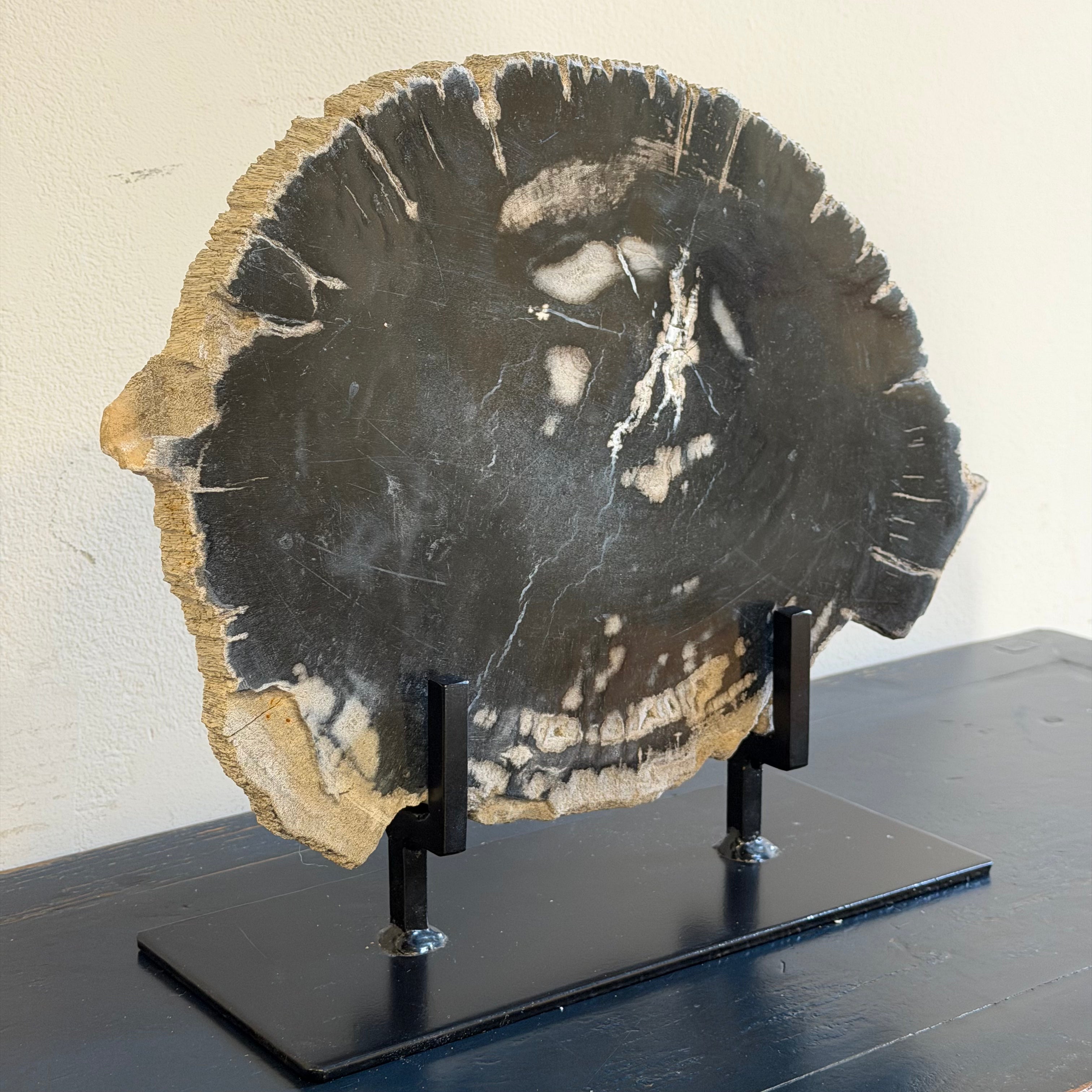 Lastra per tavolino o oggetto decorativo in legno pietrificato - 50003 D