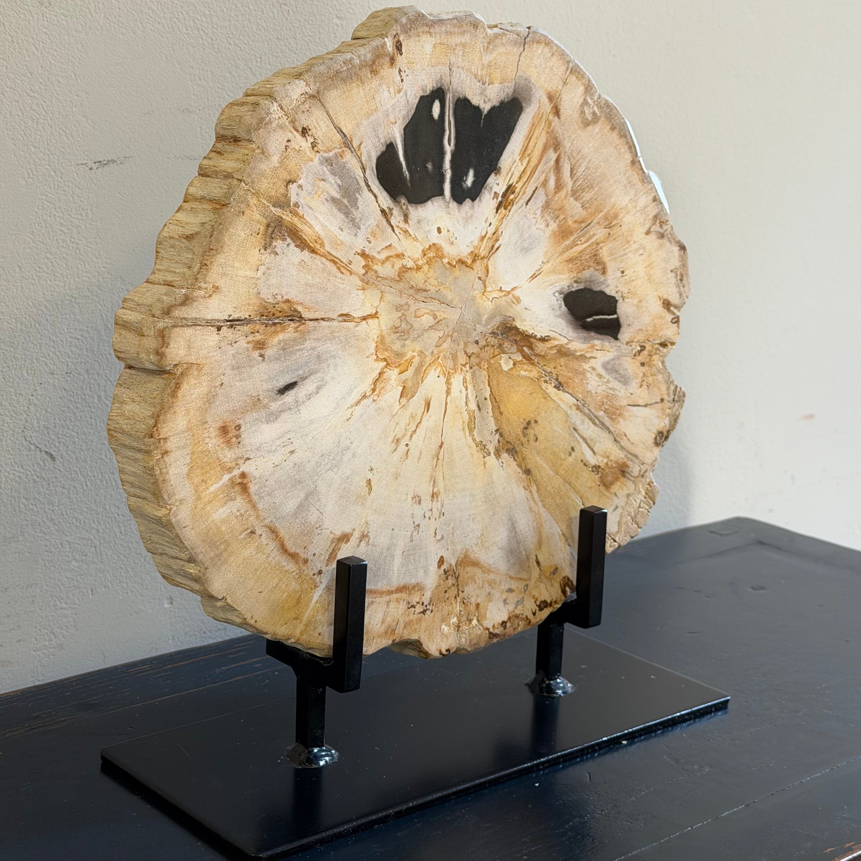 Lastra per tavolino o oggetto decorativo in legno pietrificato - 53167