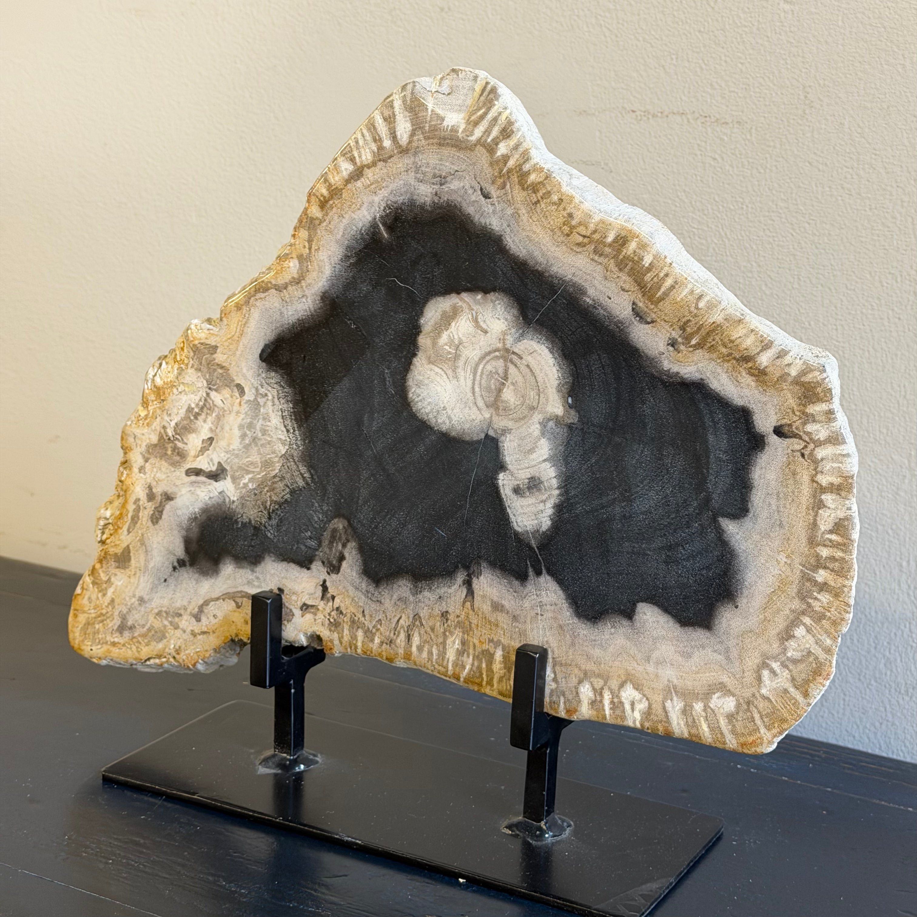 Lastra per tavolino o oggetto decorativo in legno pietrificato - 50003 A