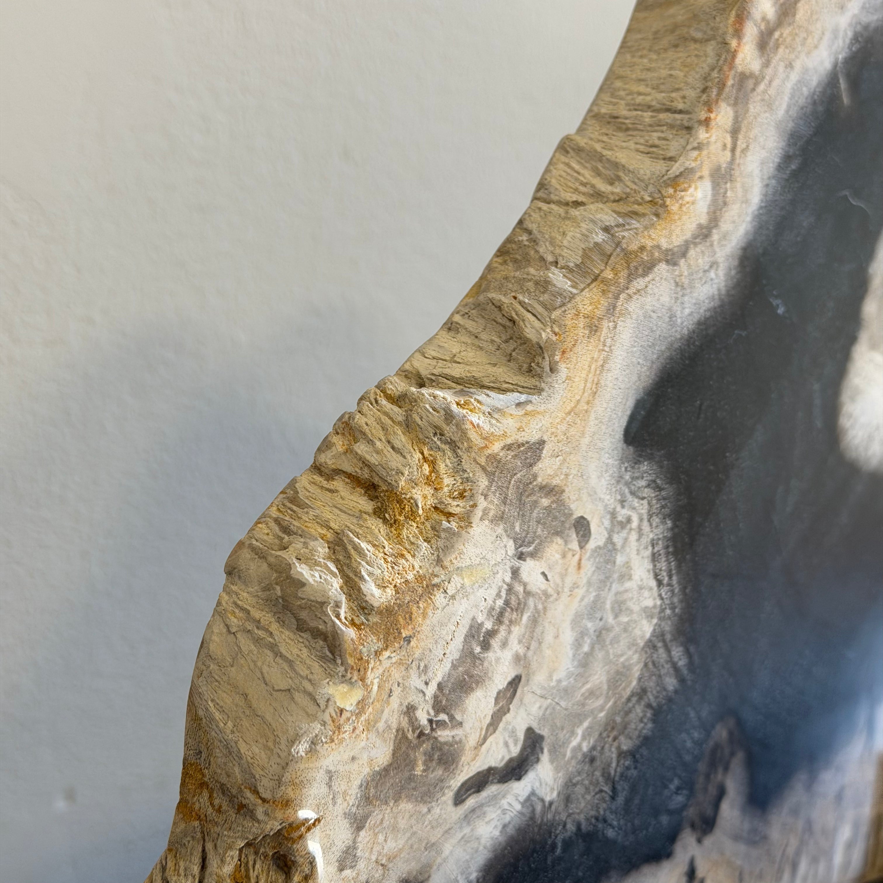 Lastra per tavolino o oggetto decorativo in legno pietrificato - 50003 A