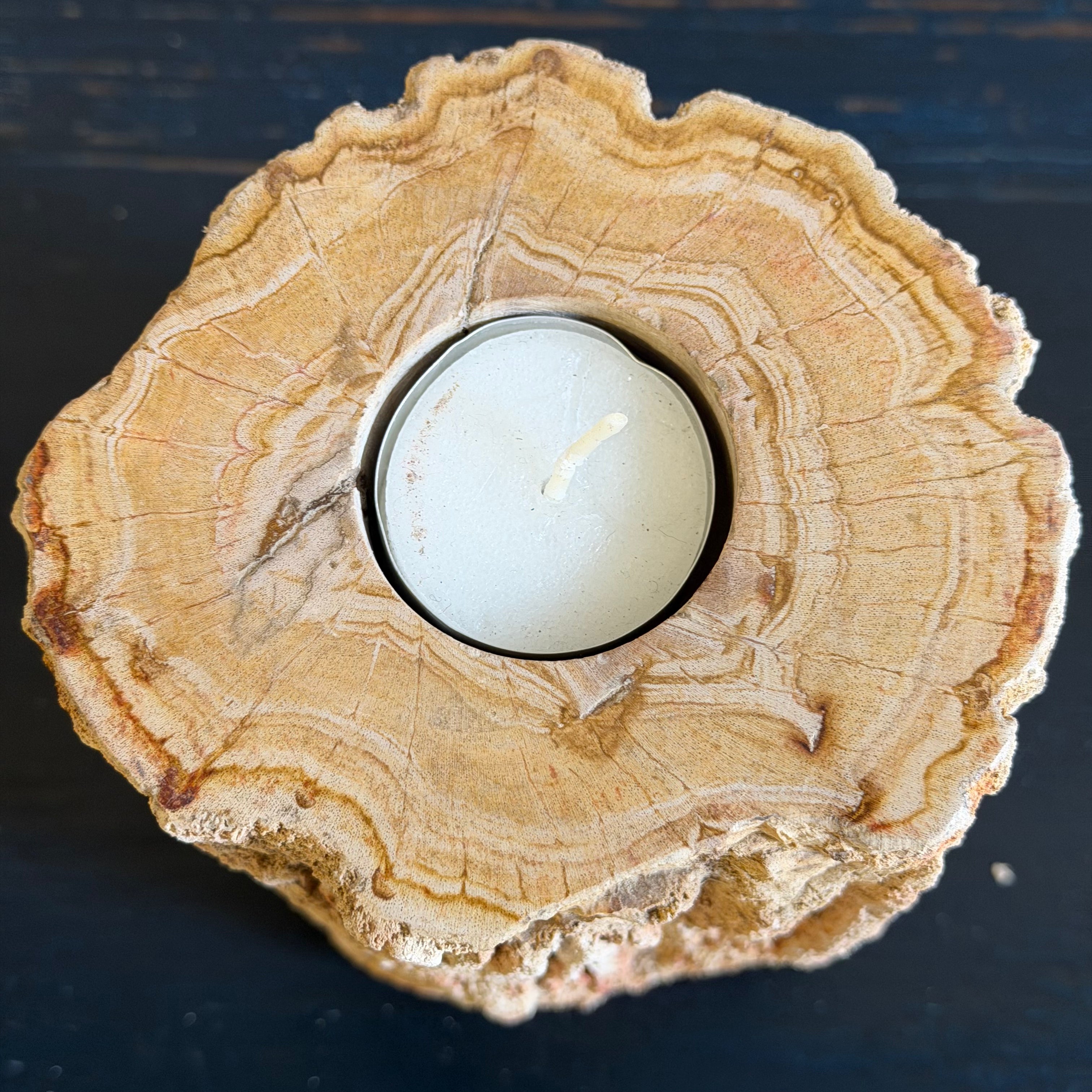 Portacandele in legno pietrificato - 61312 A