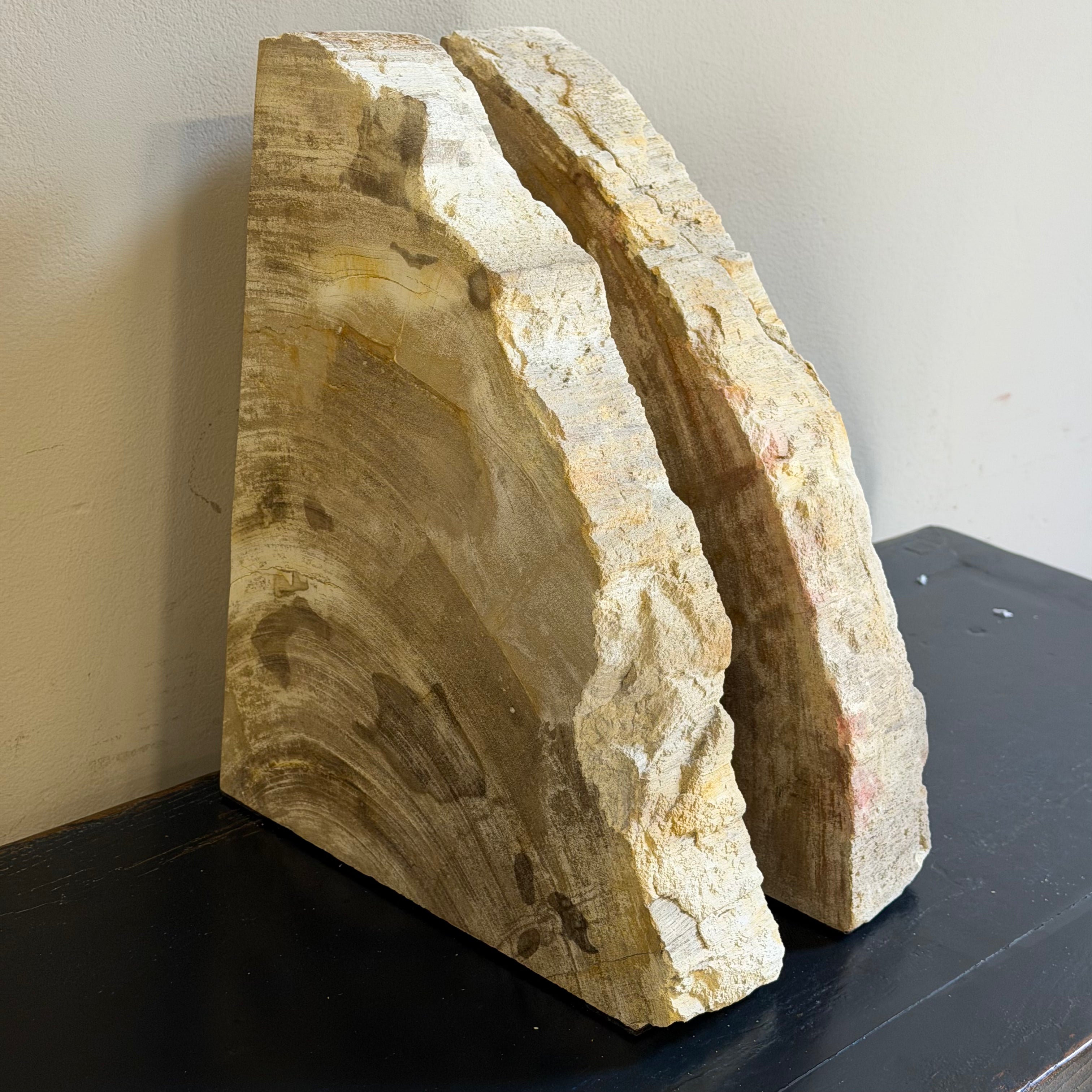 Coppia di fermalibri in legno pietrificato - 38352