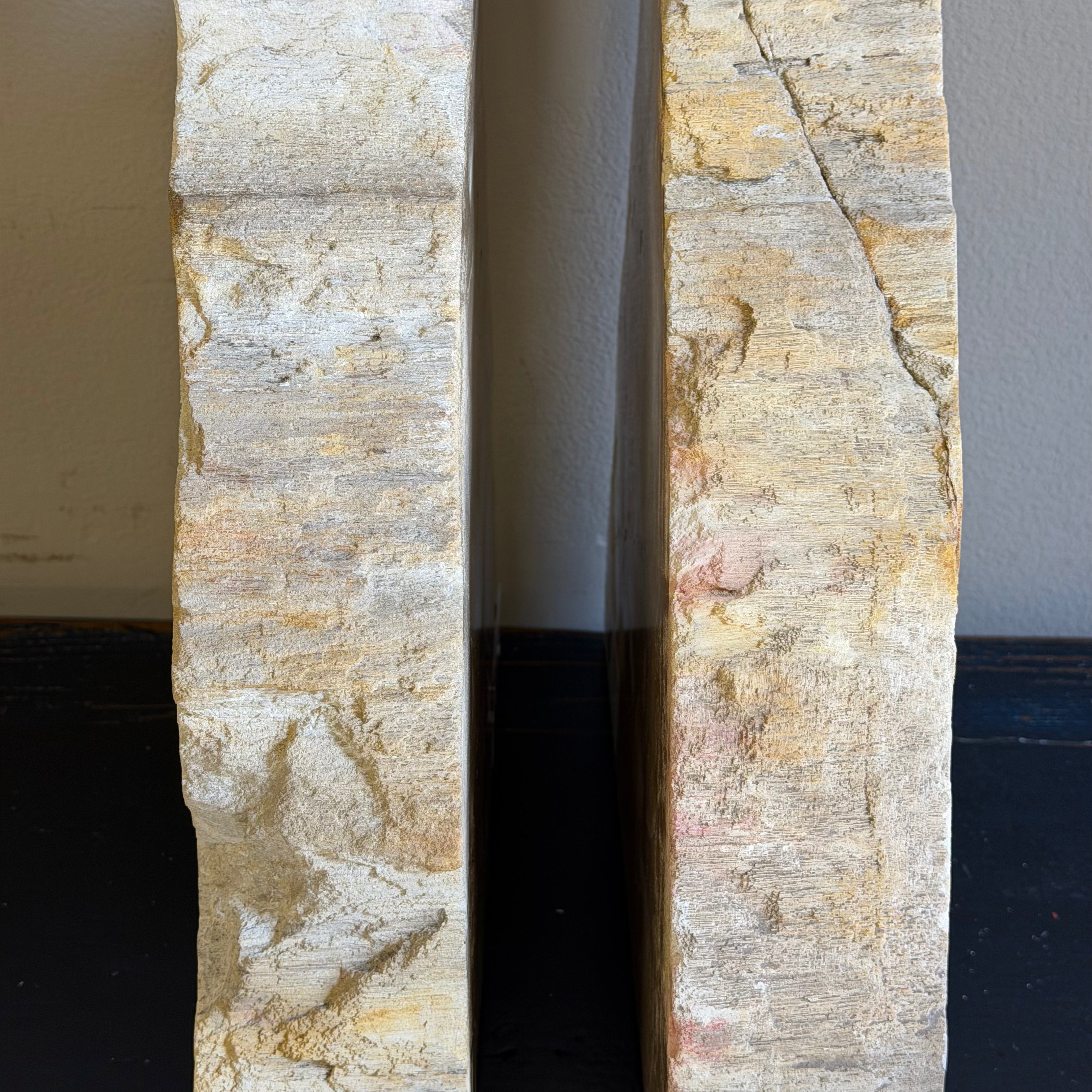 Coppia di fermalibri in legno pietrificato - 38352