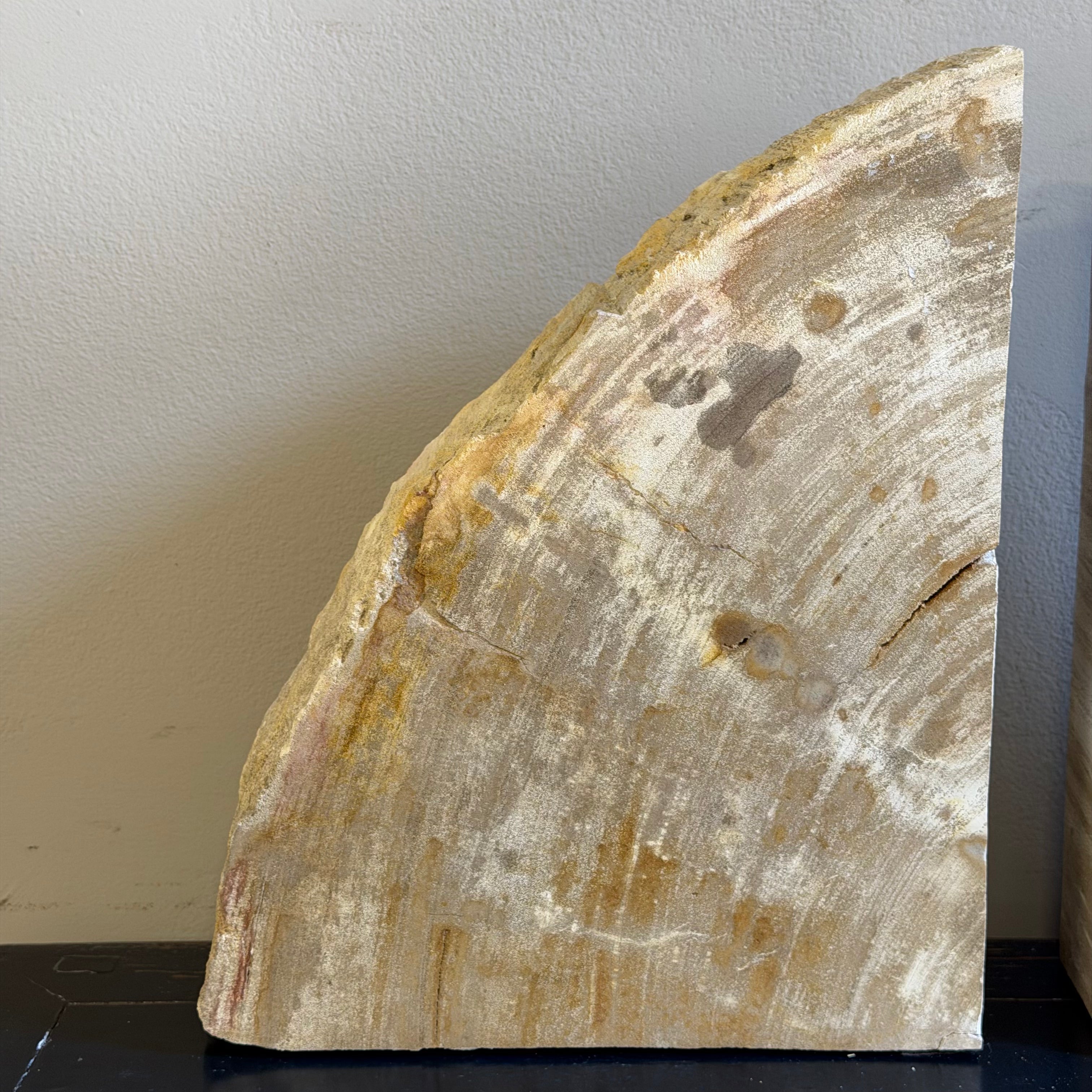 Coppia di fermalibri in legno pietrificato - 38352