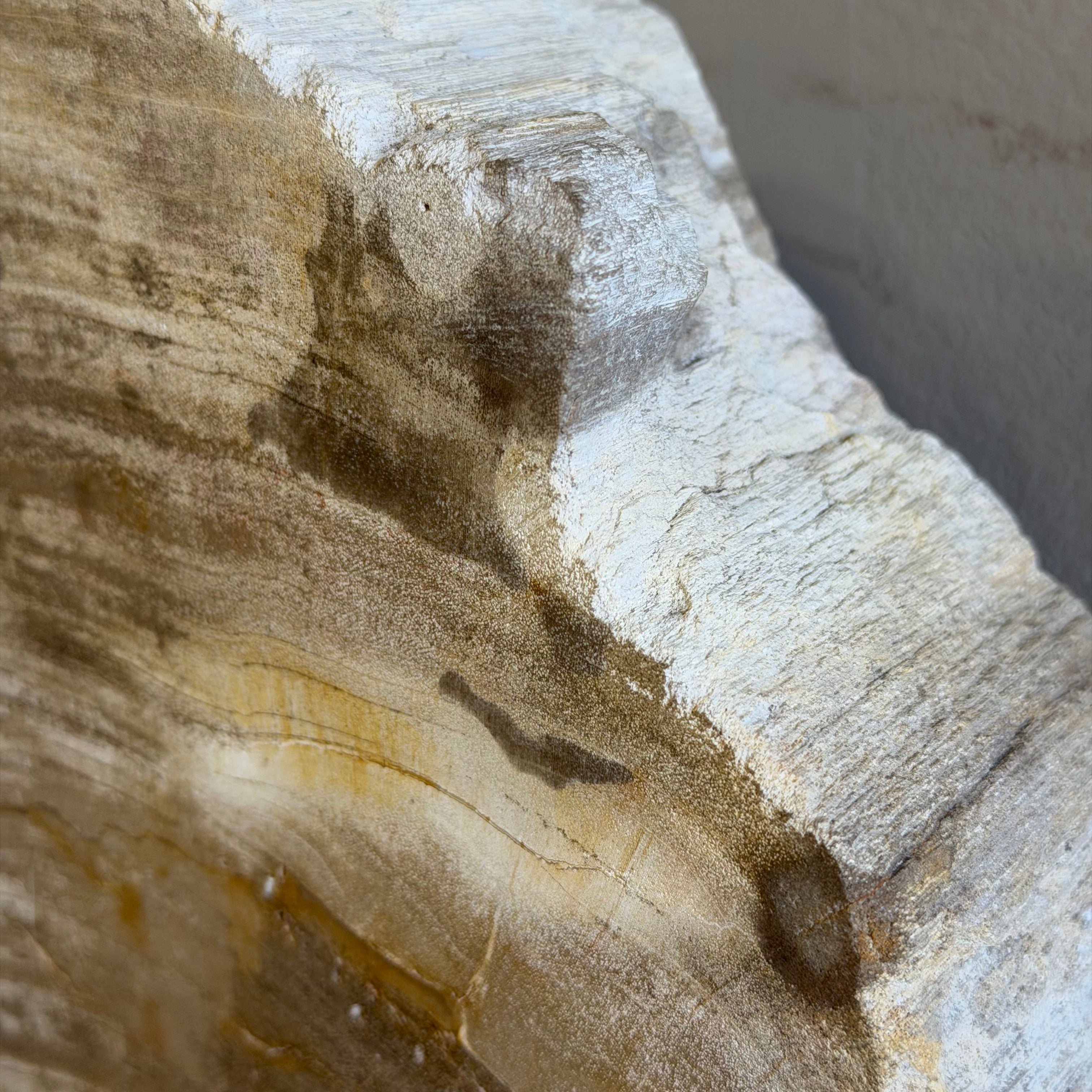 Coppia di fermalibri in legno pietrificato - 38352