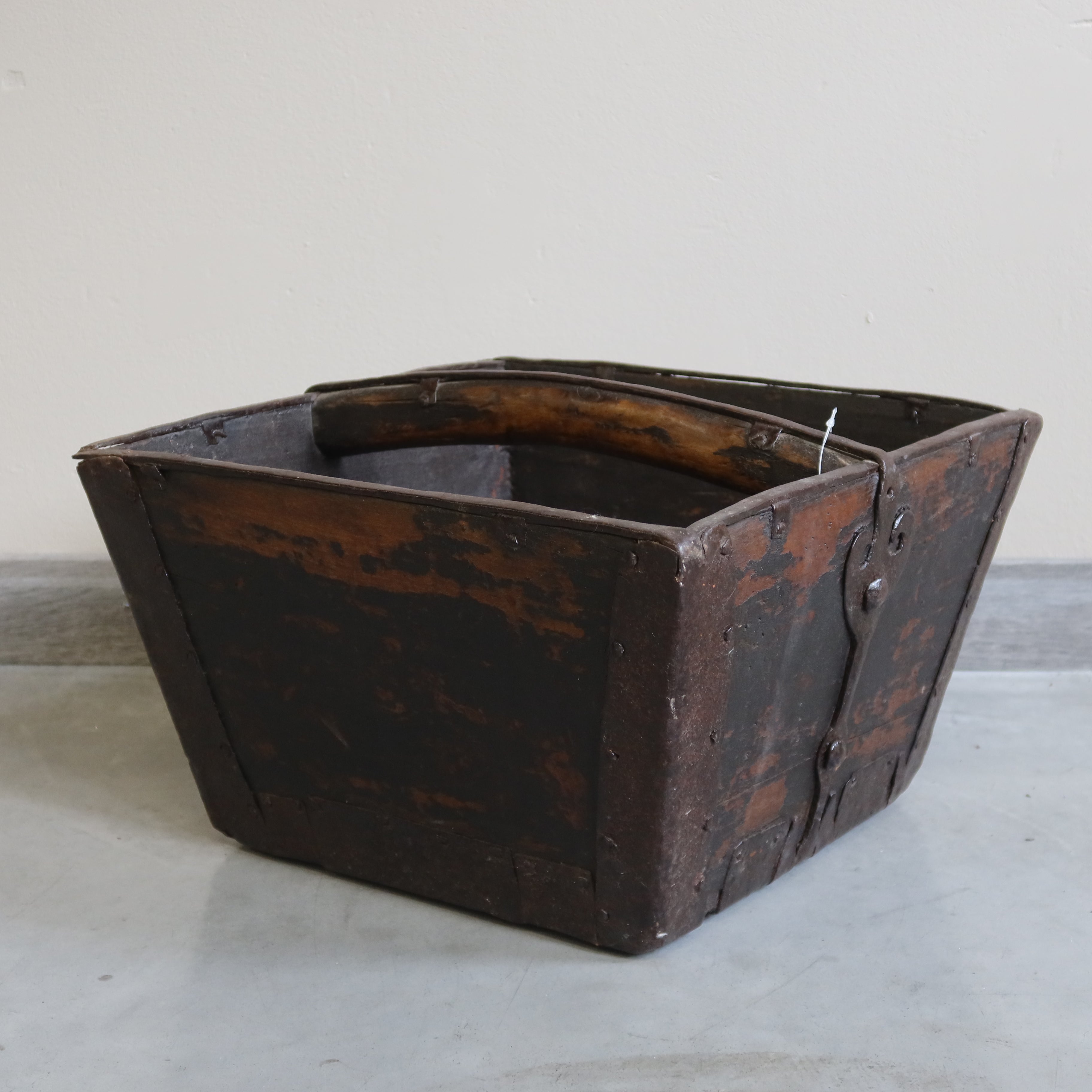 MISURARISO OLMO CINESE