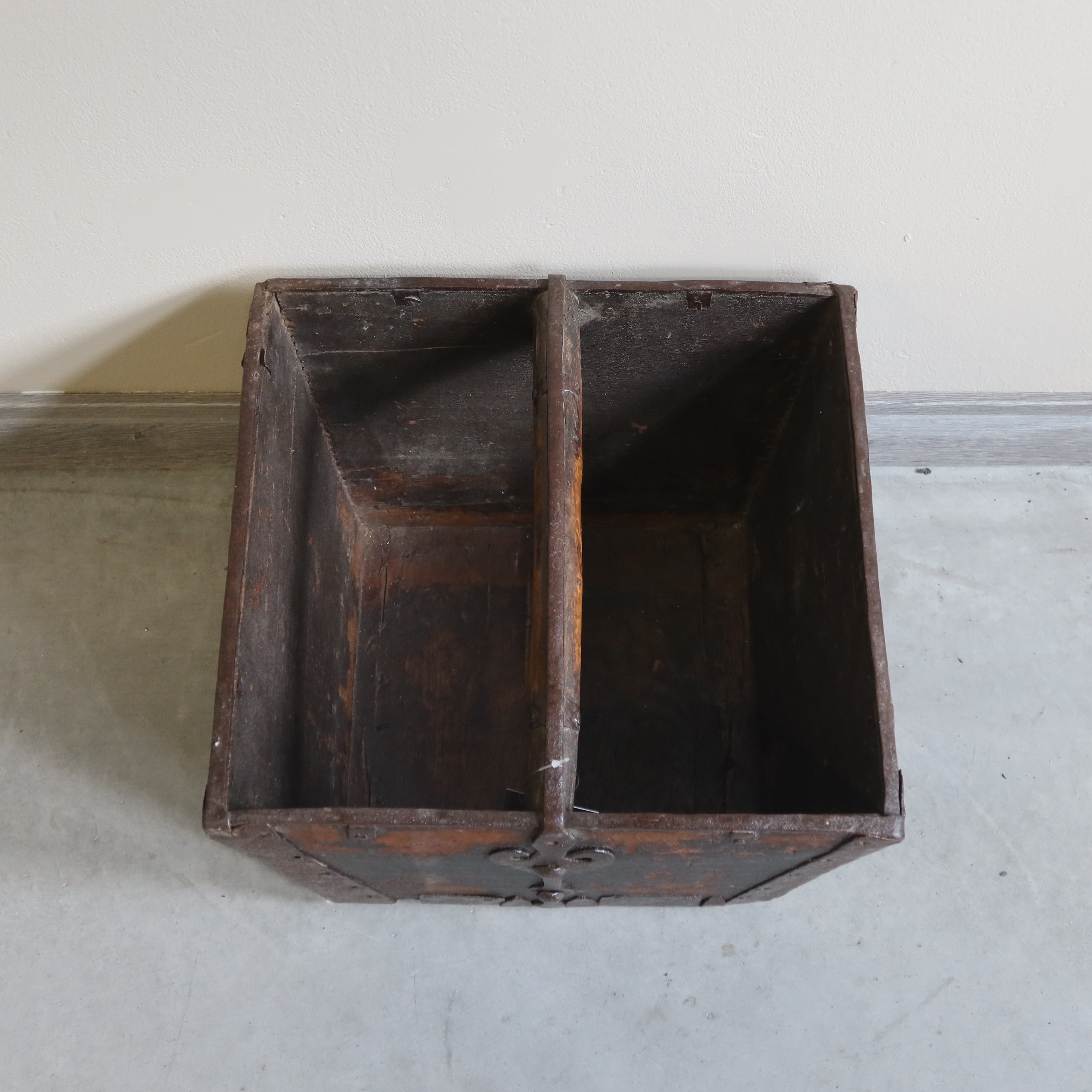 MISURARISO OLMO CINESE