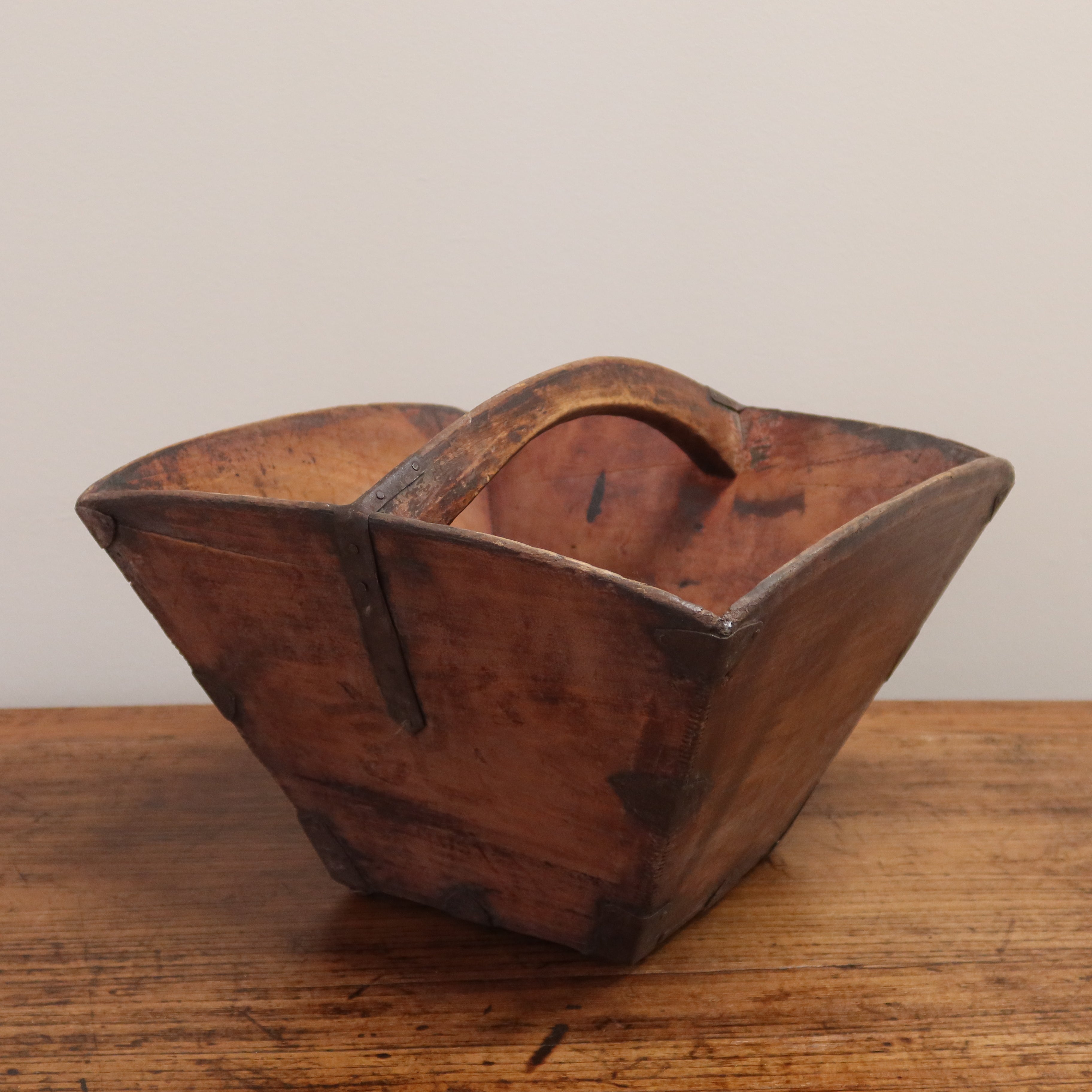 MISURARISO OLMO CINESE