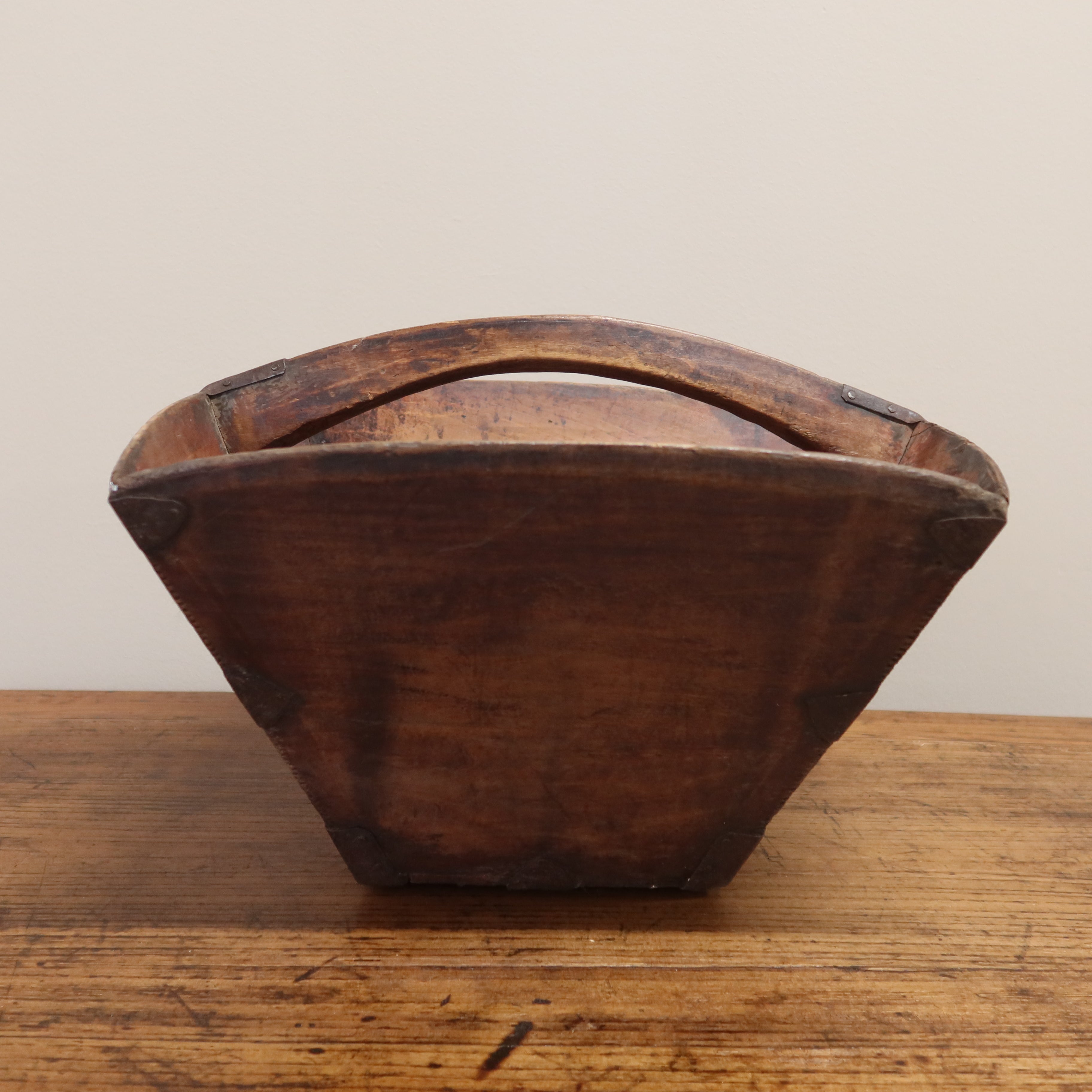 MISURARISO OLMO CINESE