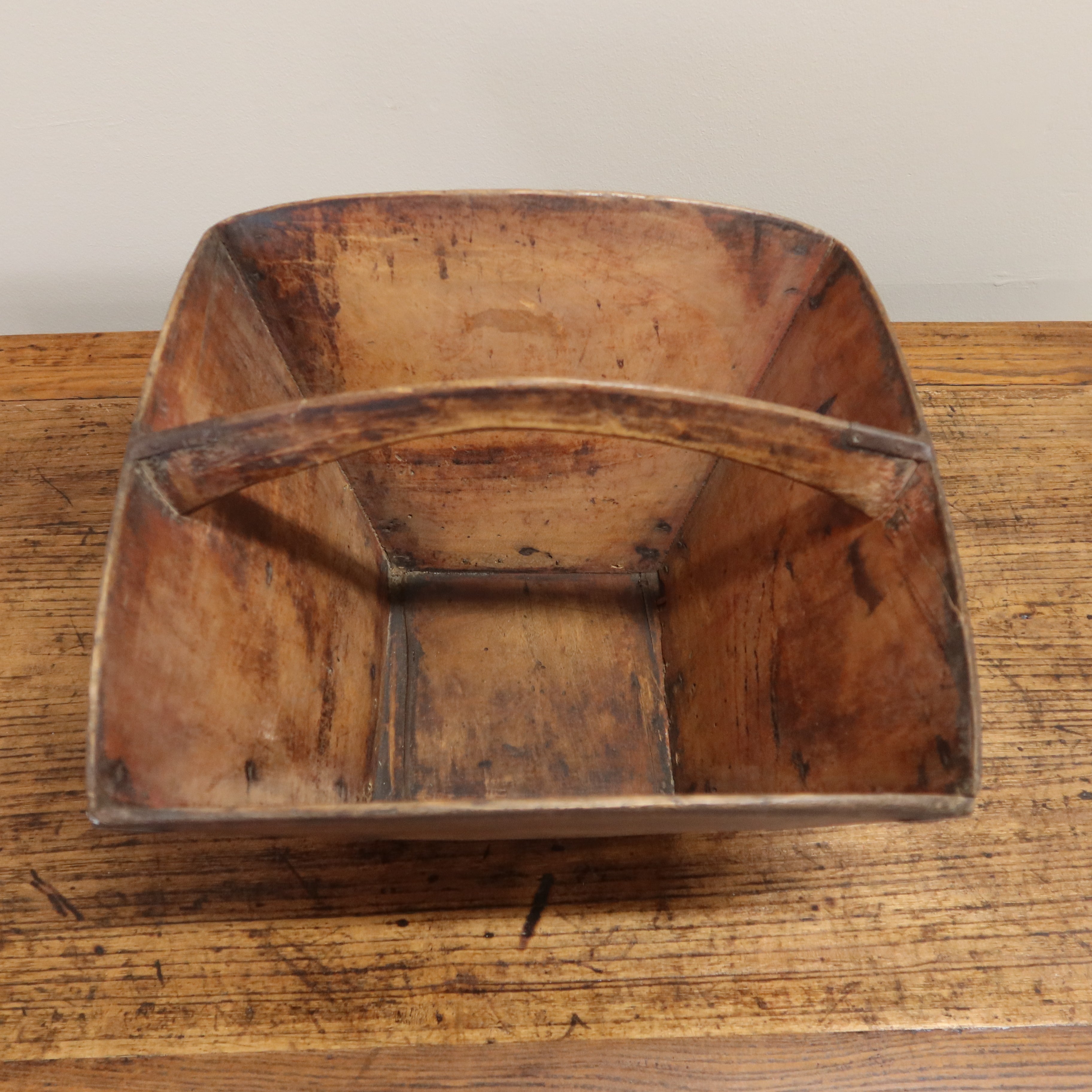 MISURARISO OLMO CINESE