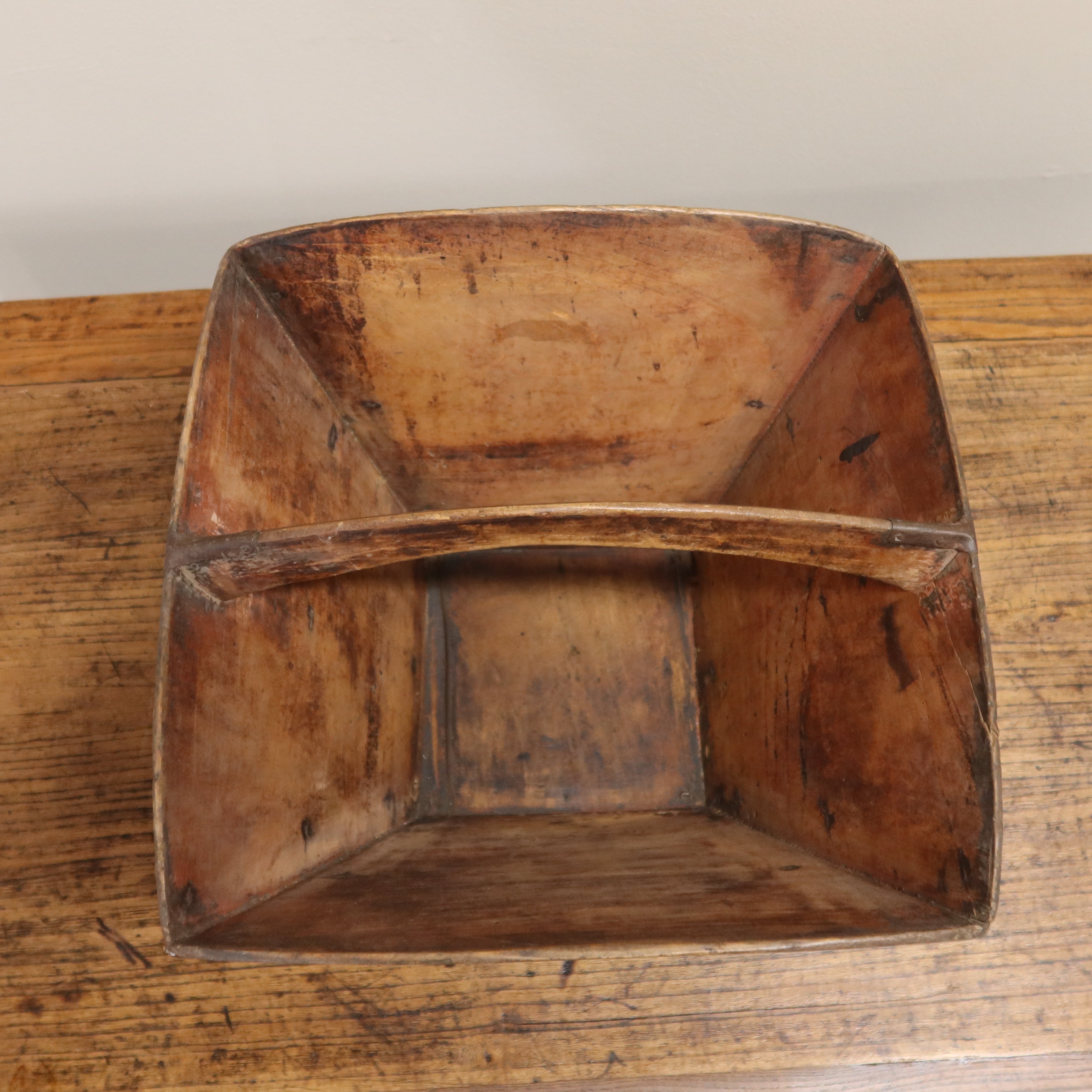 MISURARISO OLMO CINESE