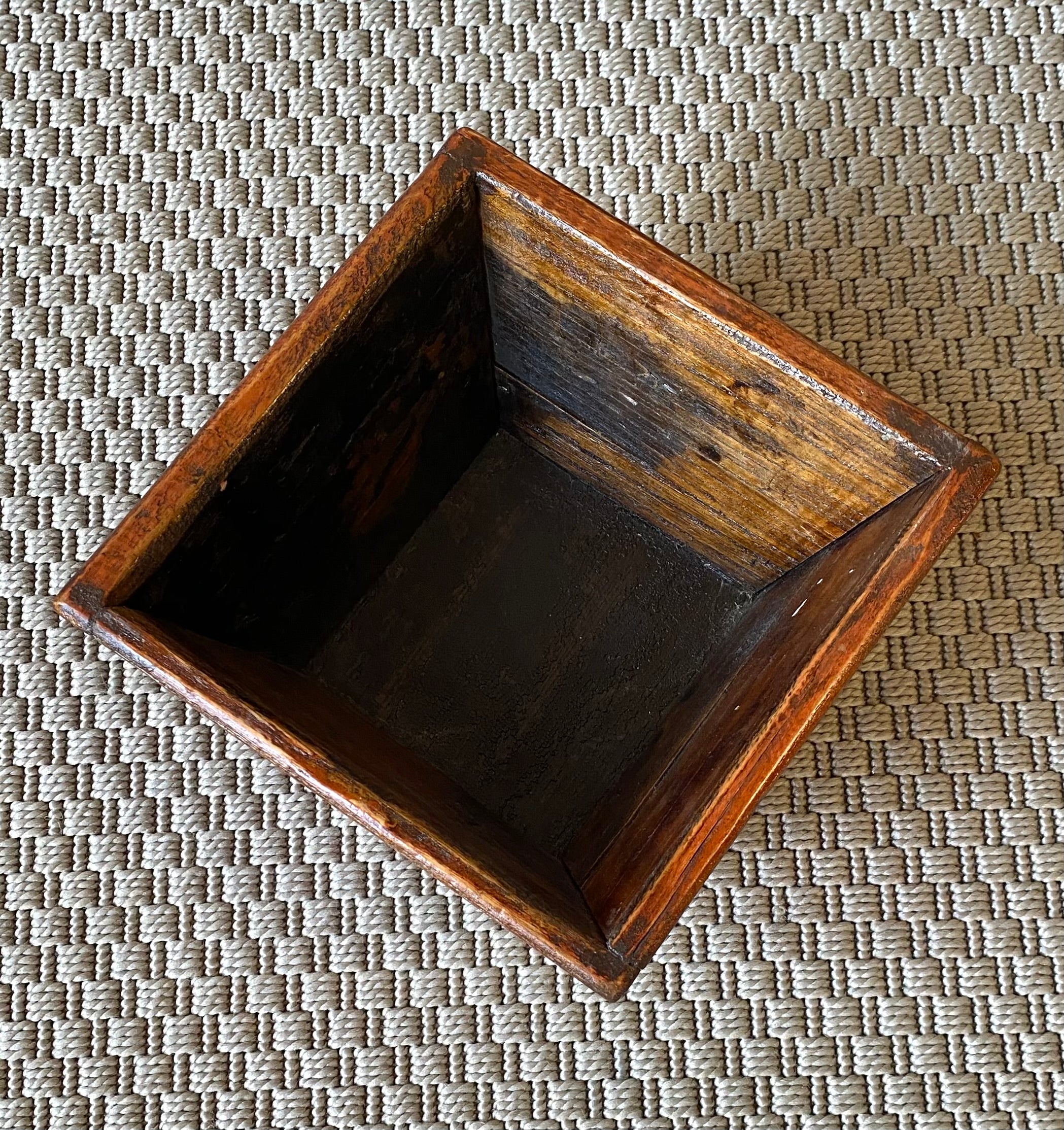 MISURARISO MIGNON DELLA MONGOLIA