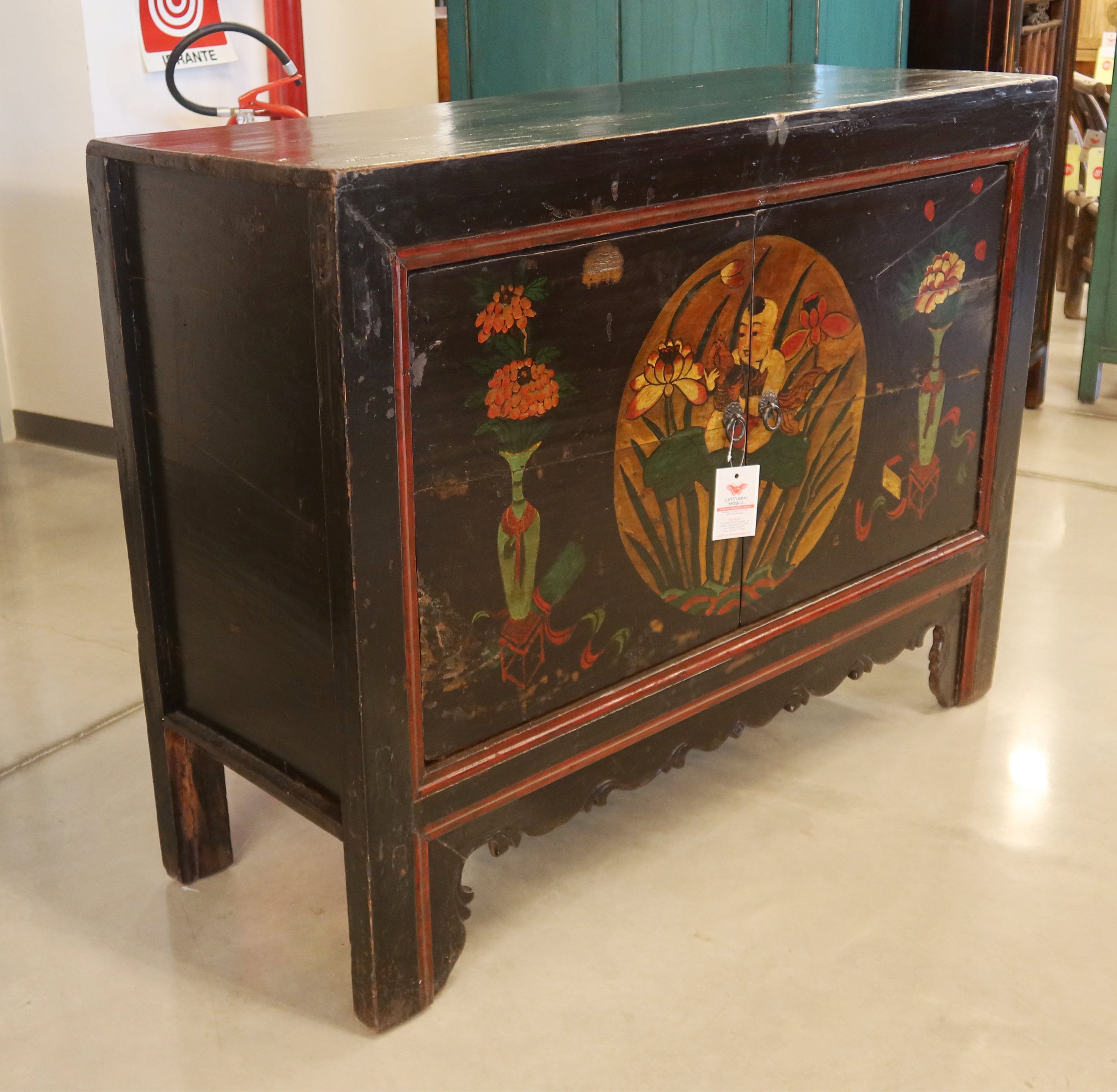 MADIA MONGOLIA DECORATA