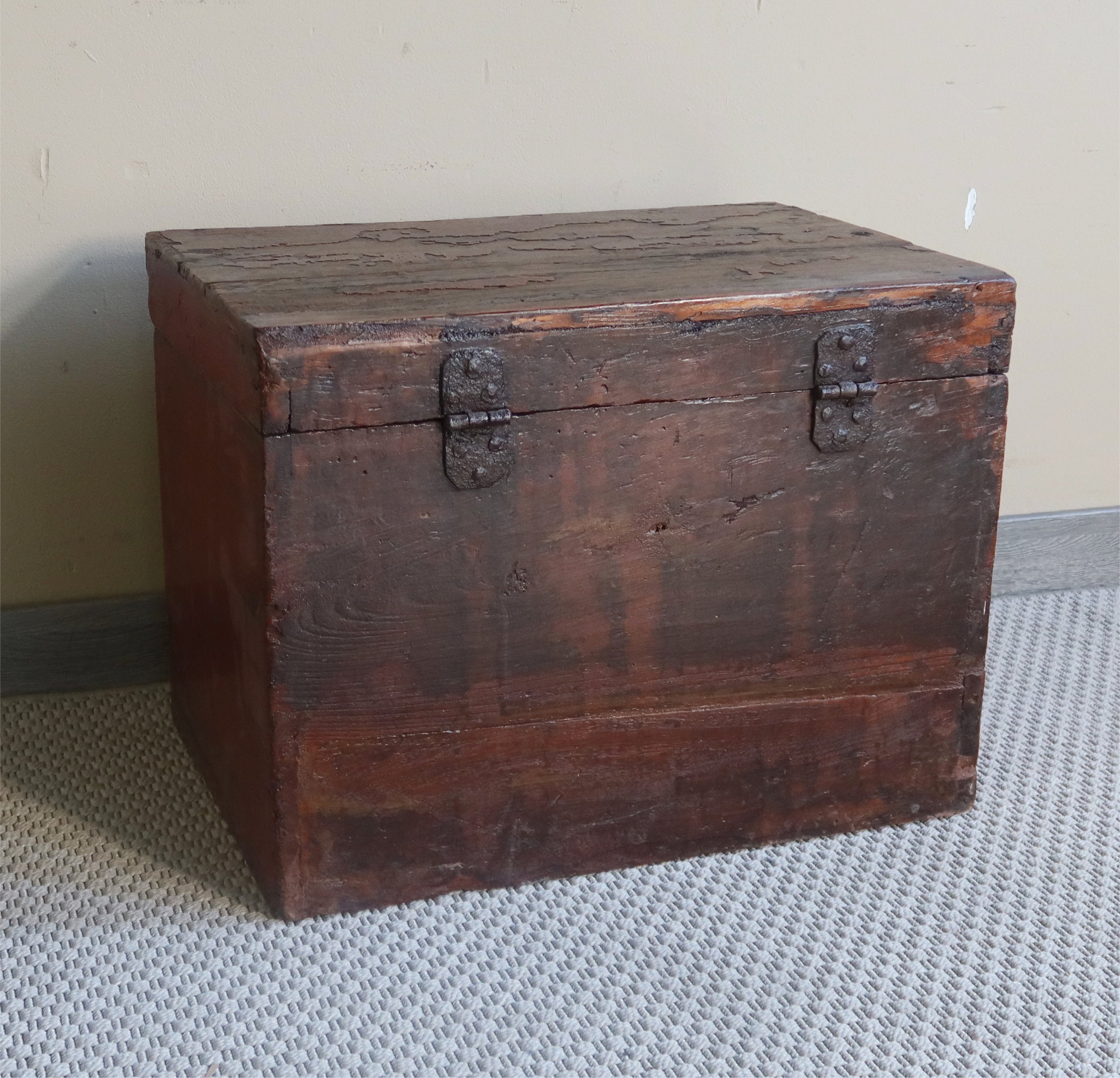 BAULE MONGOLIA DECORO LEONCANE