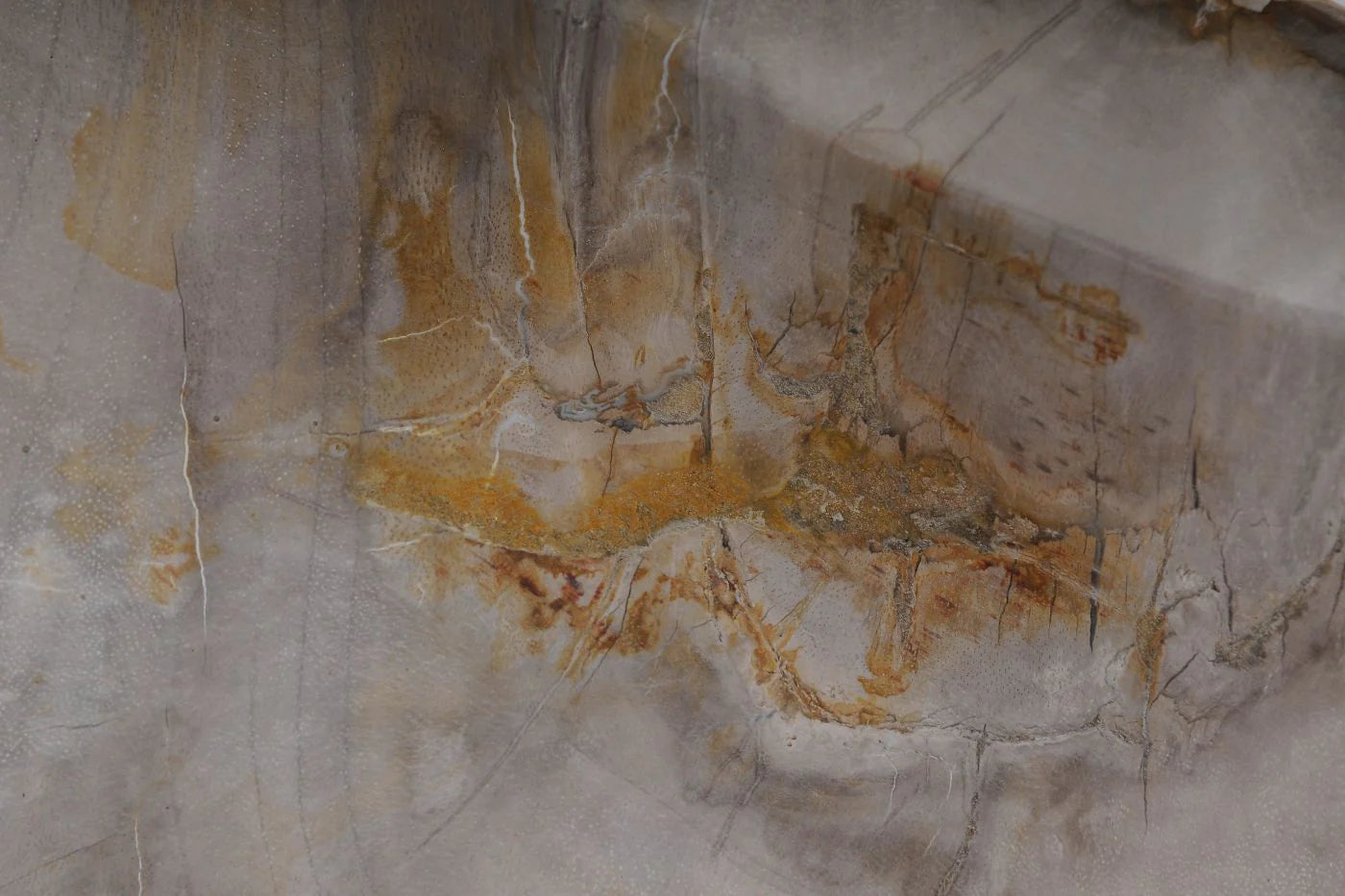 Lavabo da appoggio in legno fossile - 53406